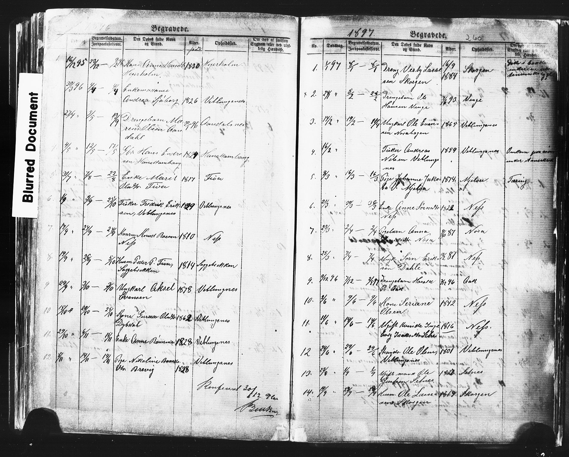 Ministerialprotokoller, klokkerbøker og fødselsregistre - Møre og Romsdal, AV/SAT-A-1454/544/L0580: Parish register (copy) no. 544C02, 1867-1909, p. 260