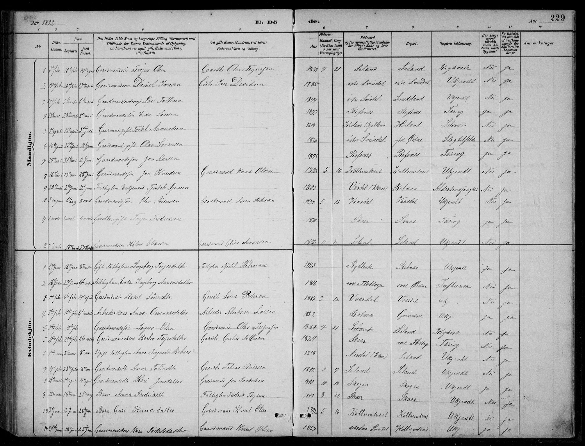 Bjelland sokneprestkontor, AV/SAK-1111-0005/F/Fb/Fbc/L0003: Parish register (copy) no. B 3, 1887-1924, p. 229