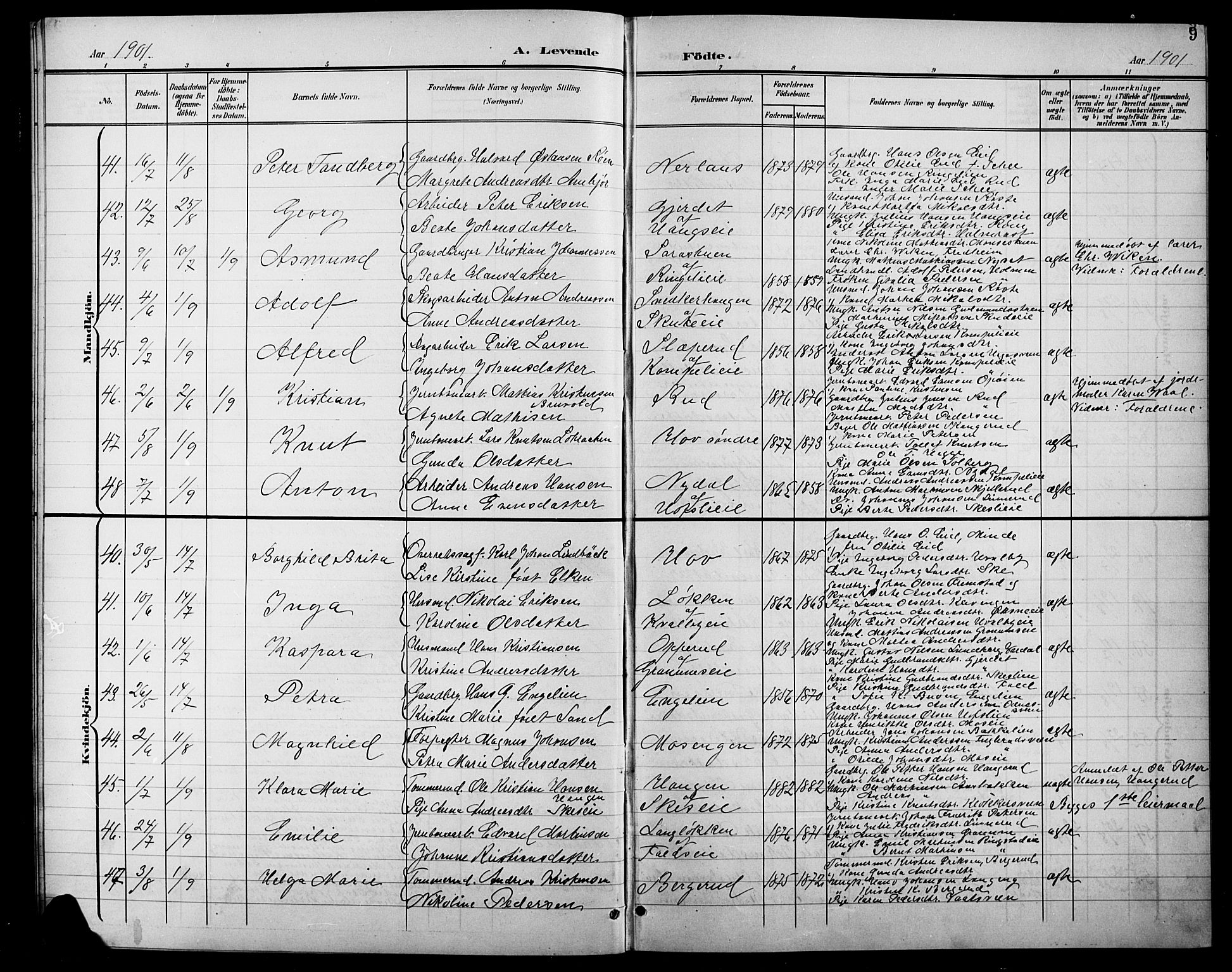 Søndre Land prestekontor, AV/SAH-PREST-122/L/L0004: Parish register (copy) no. 4, 1901-1915, p. 9