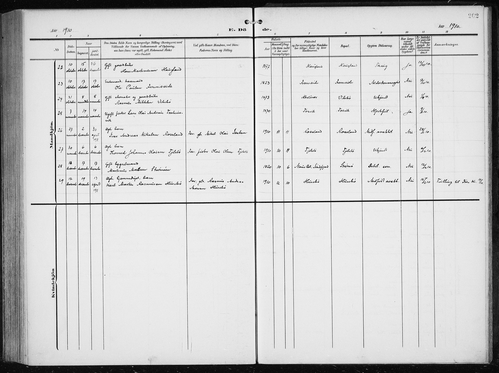 Herdla Sokneprestembete, SAB/A-75701/H/Haa: Parish register (official) no. A 5, 1905-1918, p. 202