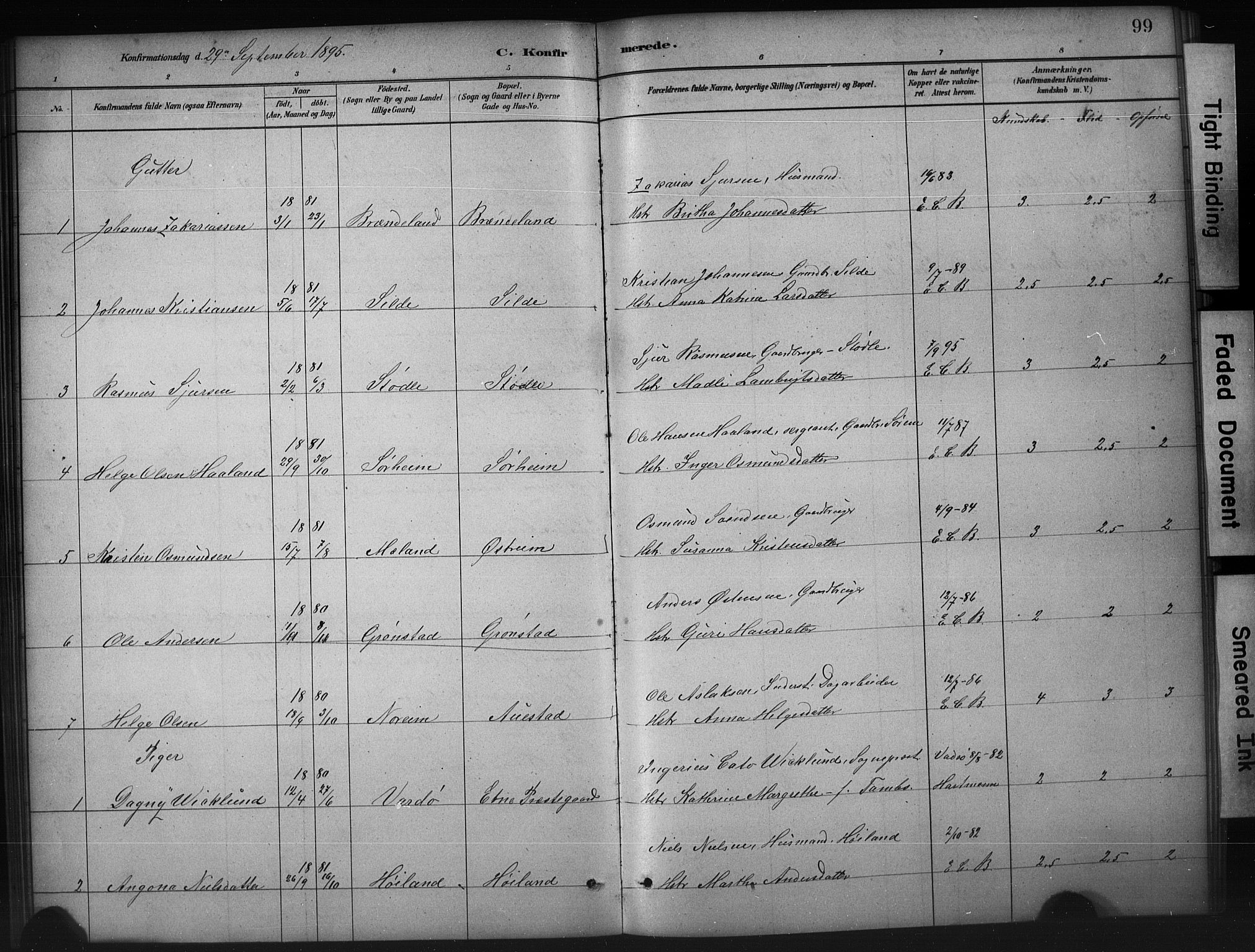 Etne sokneprestembete, SAB/A-75001/H/Hab: Parish register (copy) no. A 5, 1879-1896, p. 99