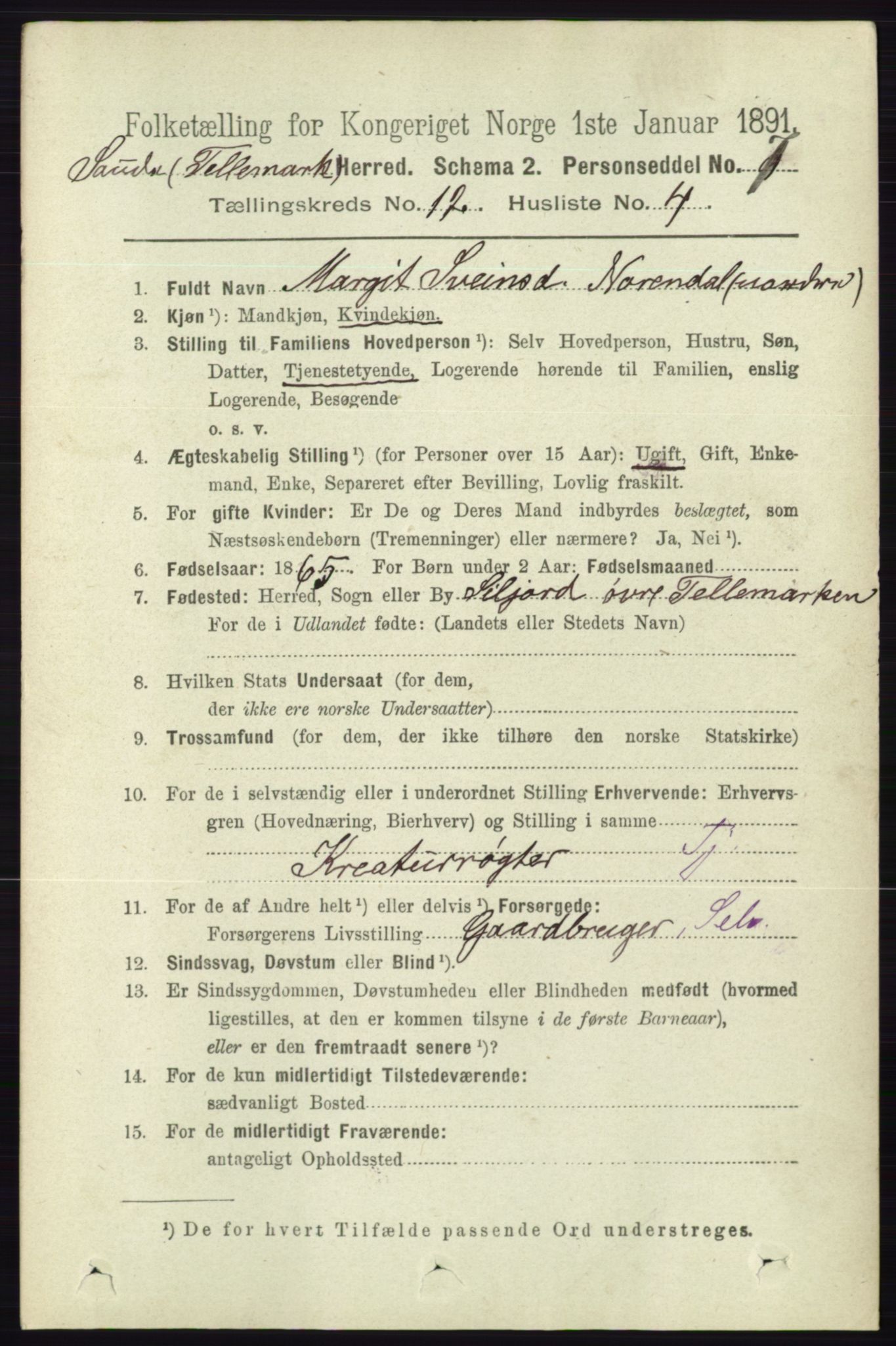 RA, 1891 census for 0822 Sauherad, 1891, p. 3644