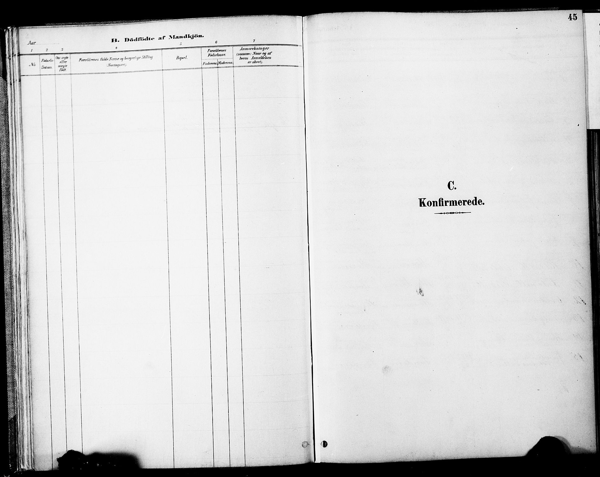 Spydeberg prestekontor Kirkebøker, SAO/A-10924/F/Fb/L0001: Parish register (official) no. II 1, 1886-1907, p. 45
