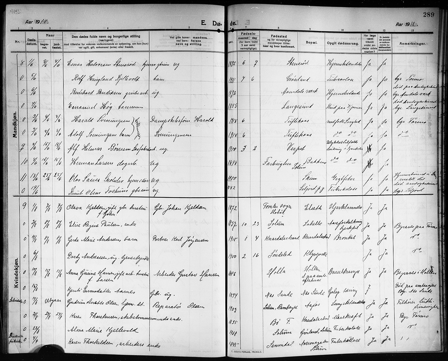 Solum kirkebøker, AV/SAKO-A-306/G/Ga/L0009: Parish register (copy) no. I 9, 1909-1922, p. 289