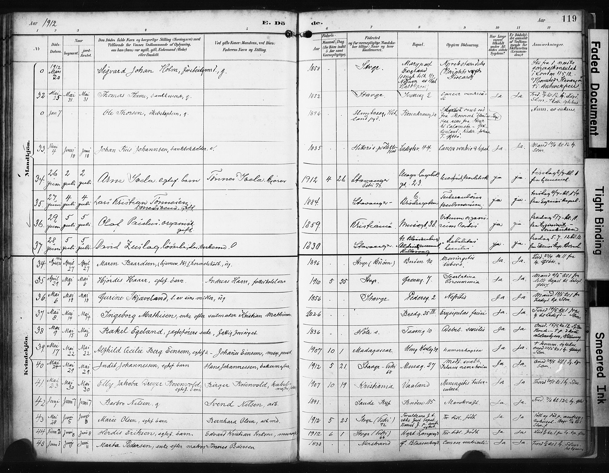 St. Petri sokneprestkontor, SAST/A-101813/001/30/30BA/L0022: Parish register (official) no. A 22, 1895-1919, p. 119