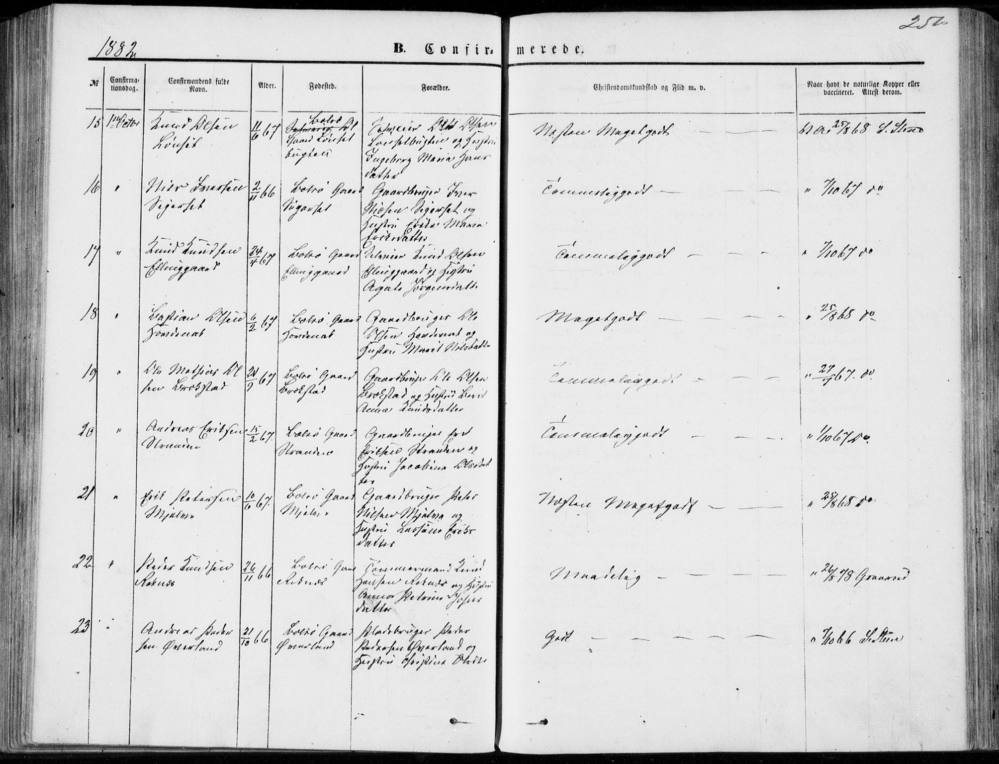 Ministerialprotokoller, klokkerbøker og fødselsregistre - Møre og Romsdal, AV/SAT-A-1454/555/L0655: Parish register (official) no. 555A05, 1869-1886, p. 250