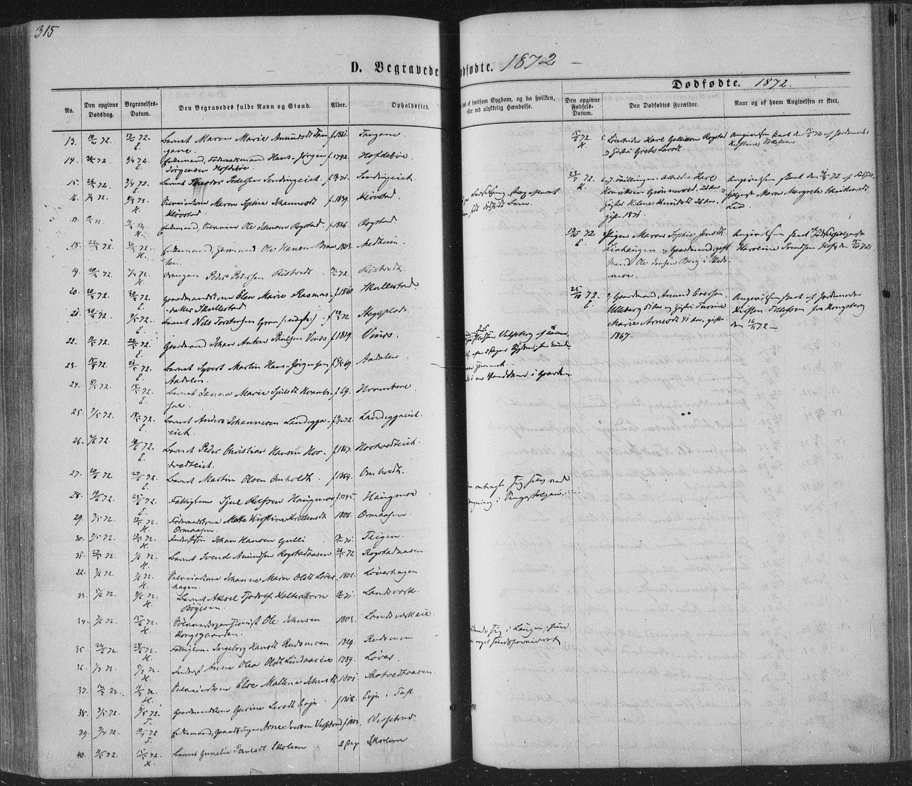 Sandsvær kirkebøker, SAKO/A-244/F/Fa/L0007: Parish register (official) no. I 7, 1869-1877, p. 315
