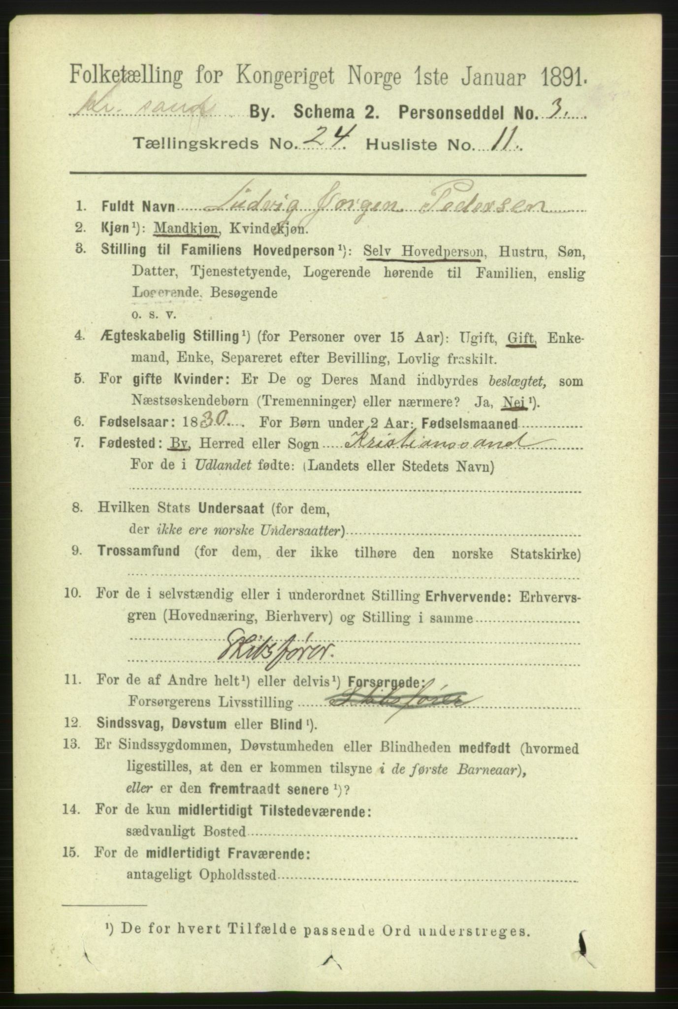 RA, 1891 census for 1001 Kristiansand, 1891, p. 8688