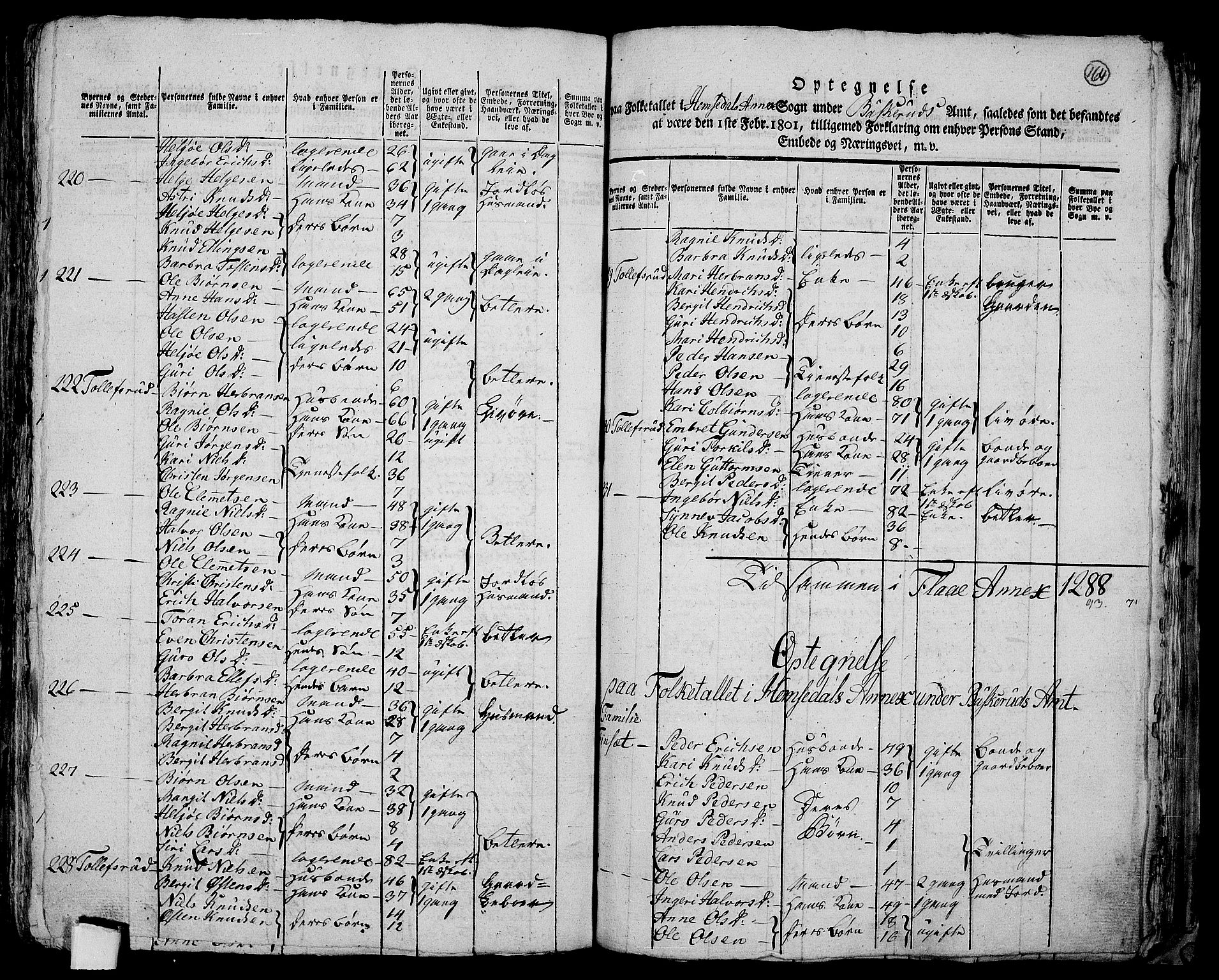 RA, 1801 census for 0616P Nes, 1801, p. 163b-164a