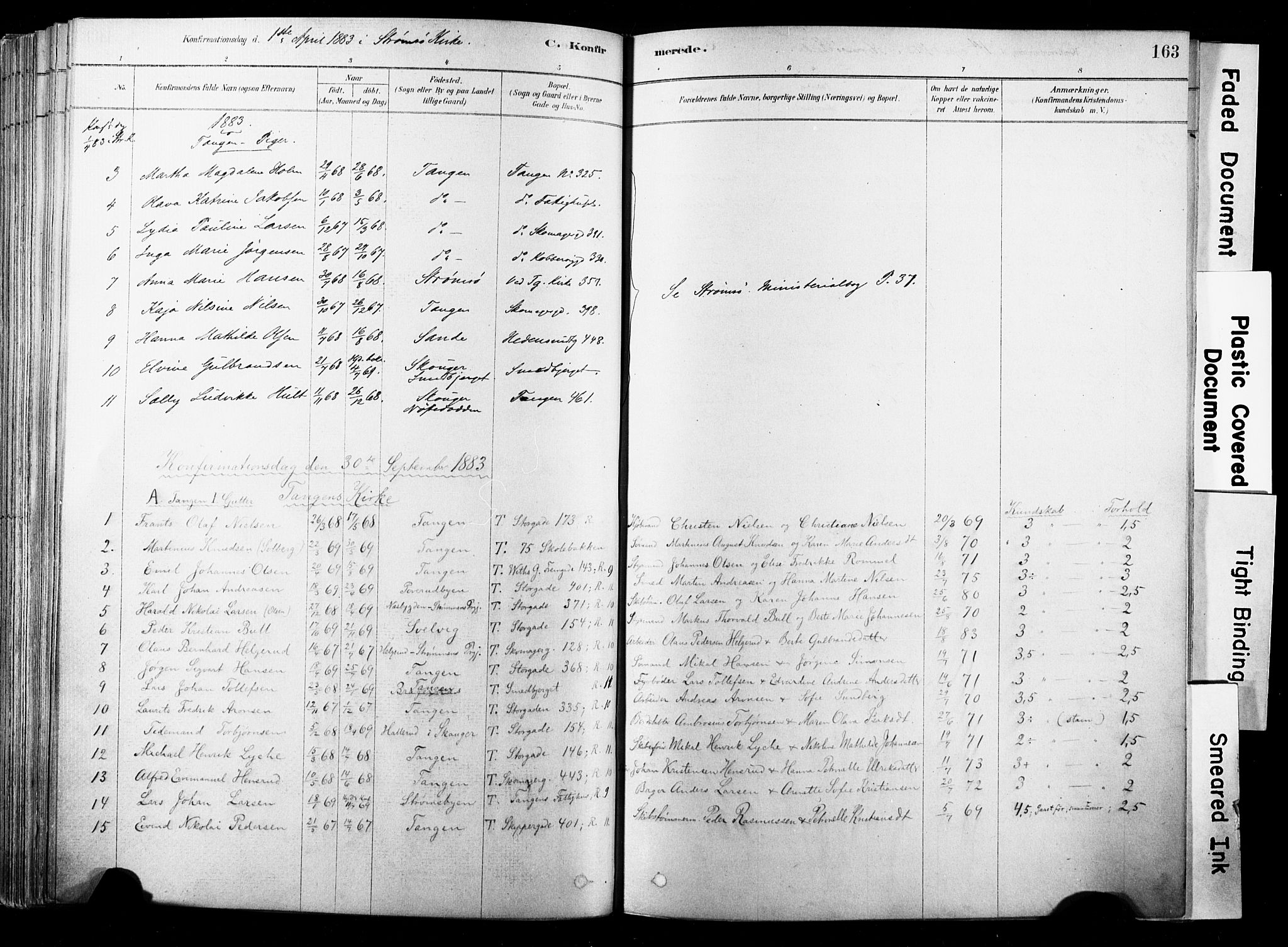 Strømsø kirkebøker, SAKO/A-246/F/Fb/L0006: Parish register (official) no. II 6, 1879-1910, p. 163