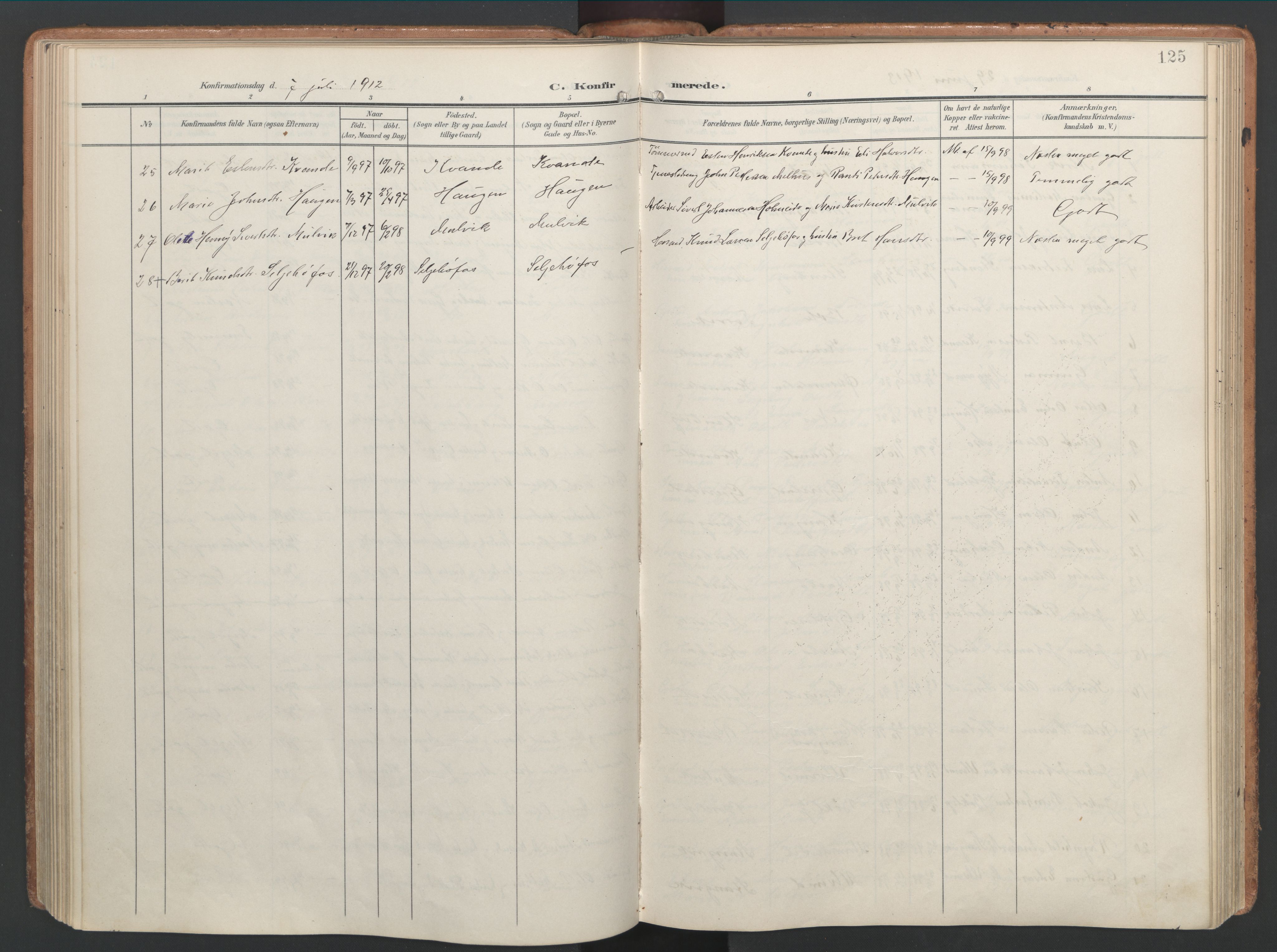 Ministerialprotokoller, klokkerbøker og fødselsregistre - Møre og Romsdal, AV/SAT-A-1454/592/L1030: Parish register (official) no. 592A08, 1901-1925, p. 125