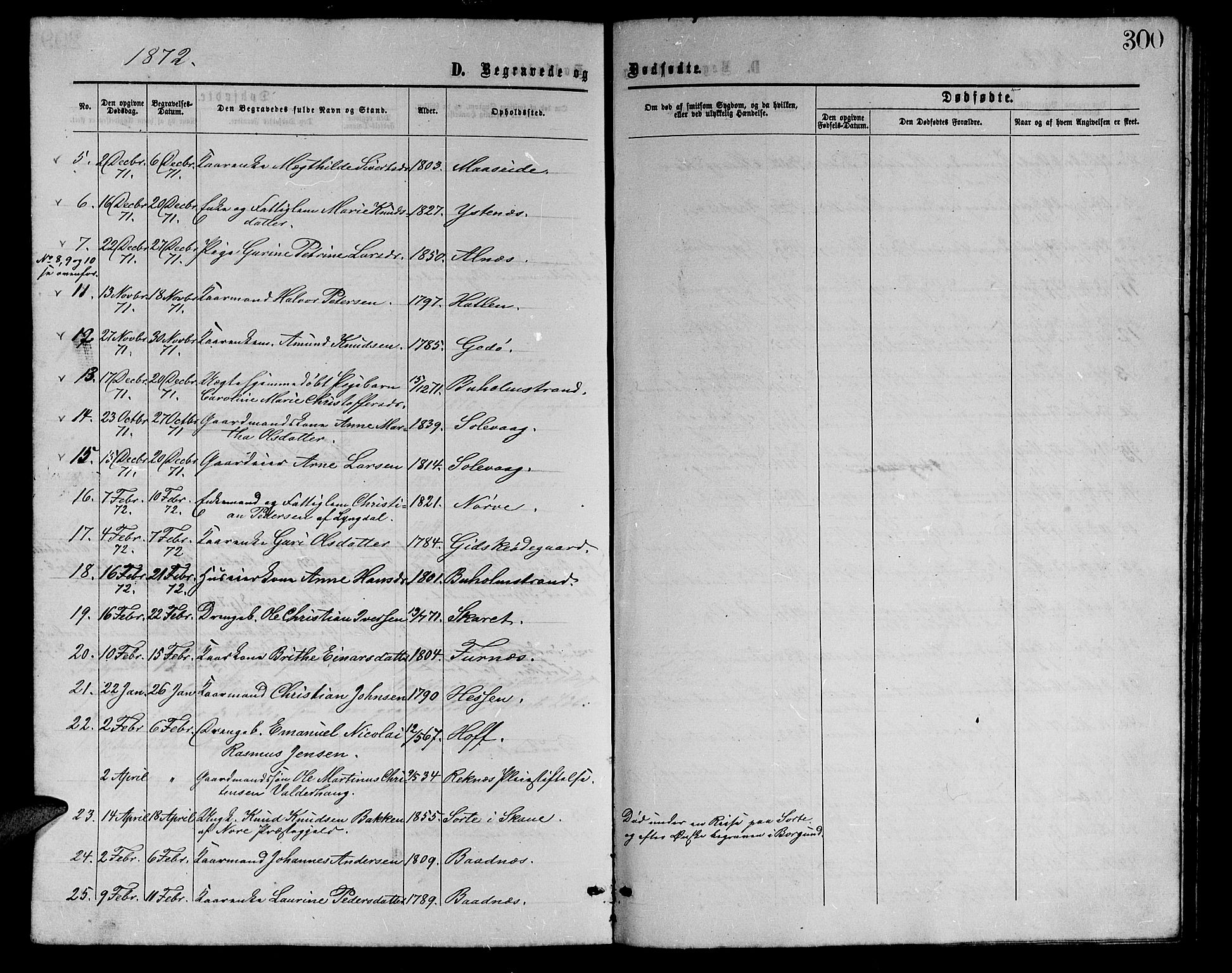 Ministerialprotokoller, klokkerbøker og fødselsregistre - Møre og Romsdal, AV/SAT-A-1454/528/L0428: Parish register (copy) no. 528C09, 1864-1880, p. 300