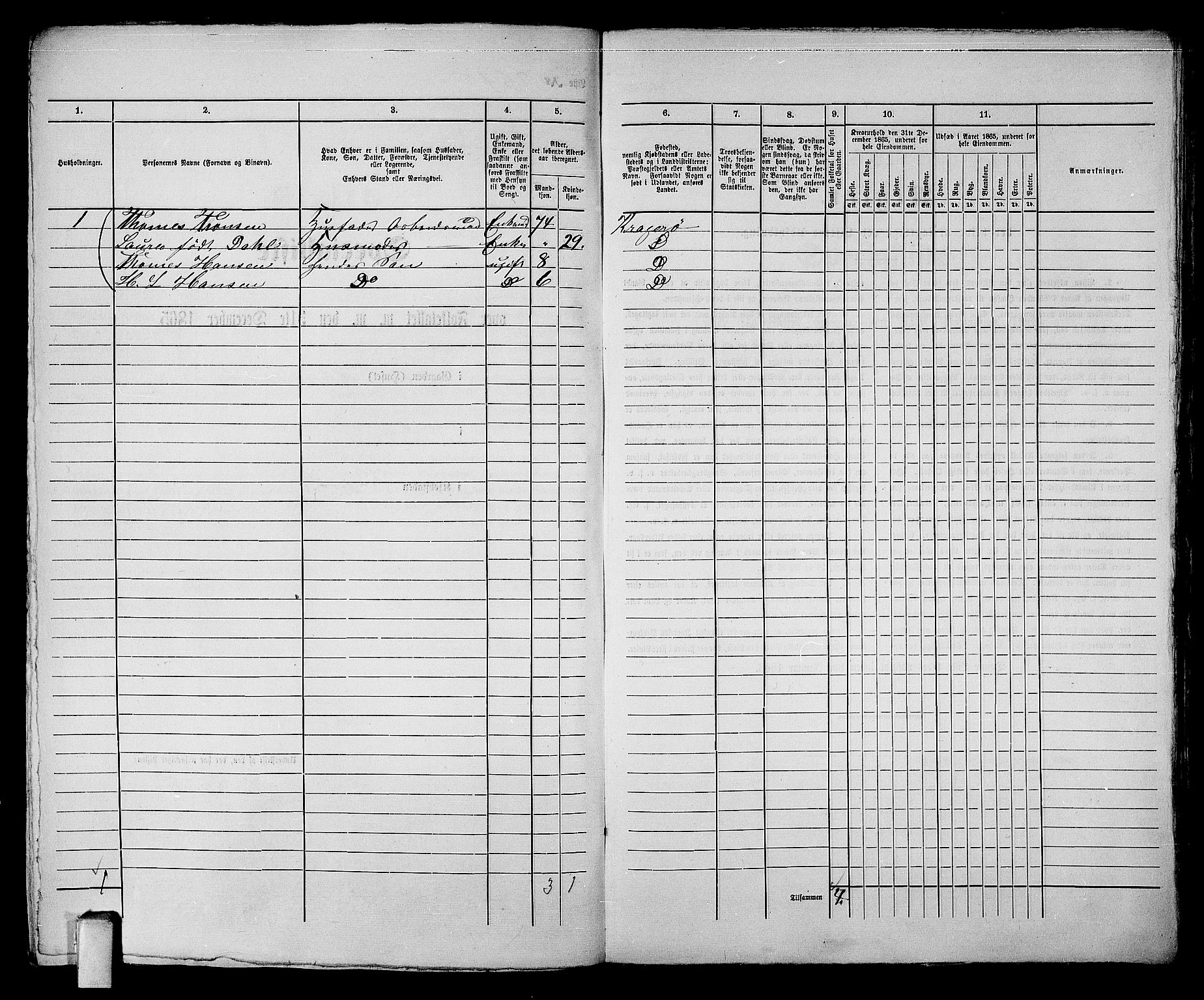 RA, 1865 census for Kragerø/Kragerø, 1865, p. 533