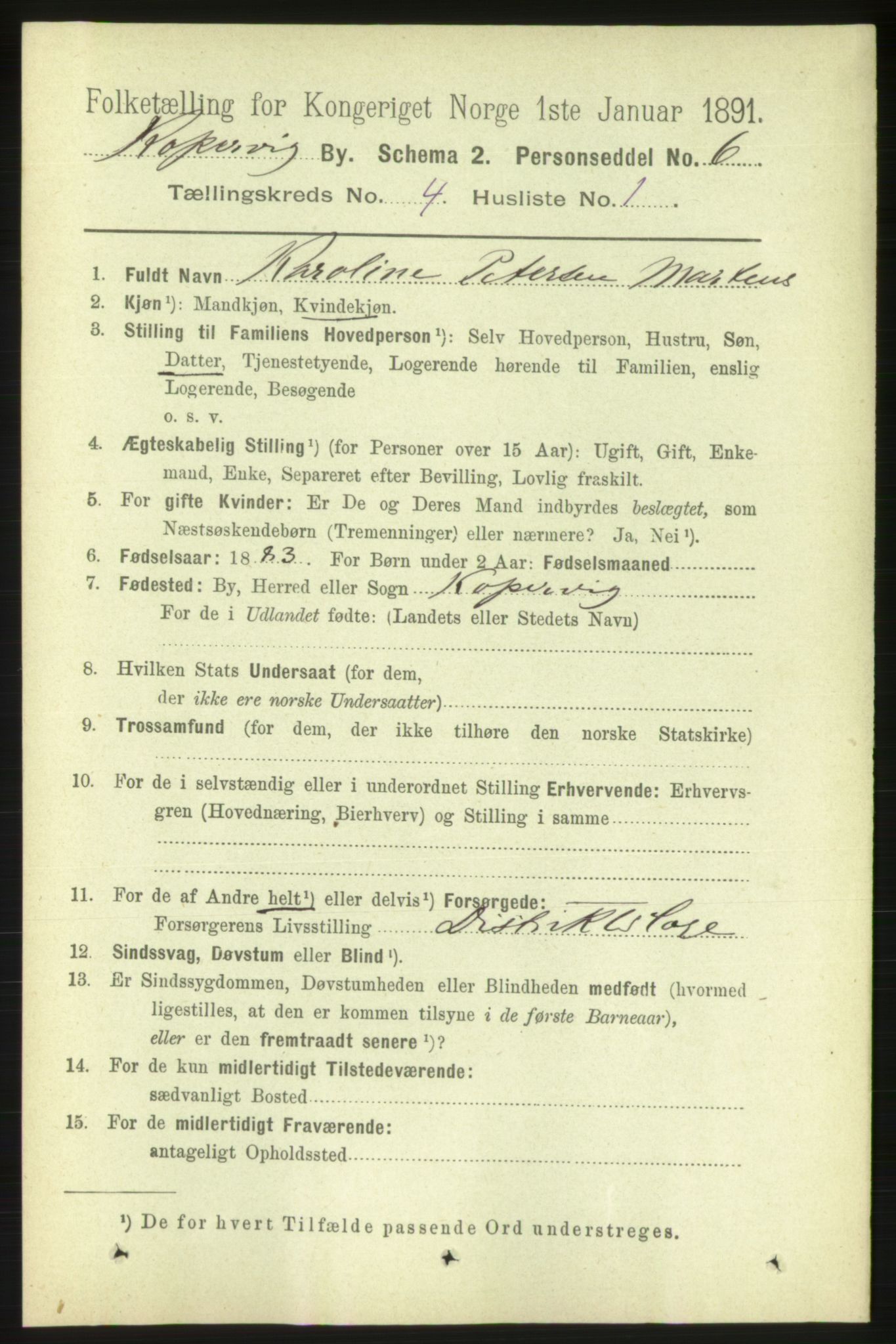 RA, 1891 census for 1105 Kopervik, 1891, p. 382
