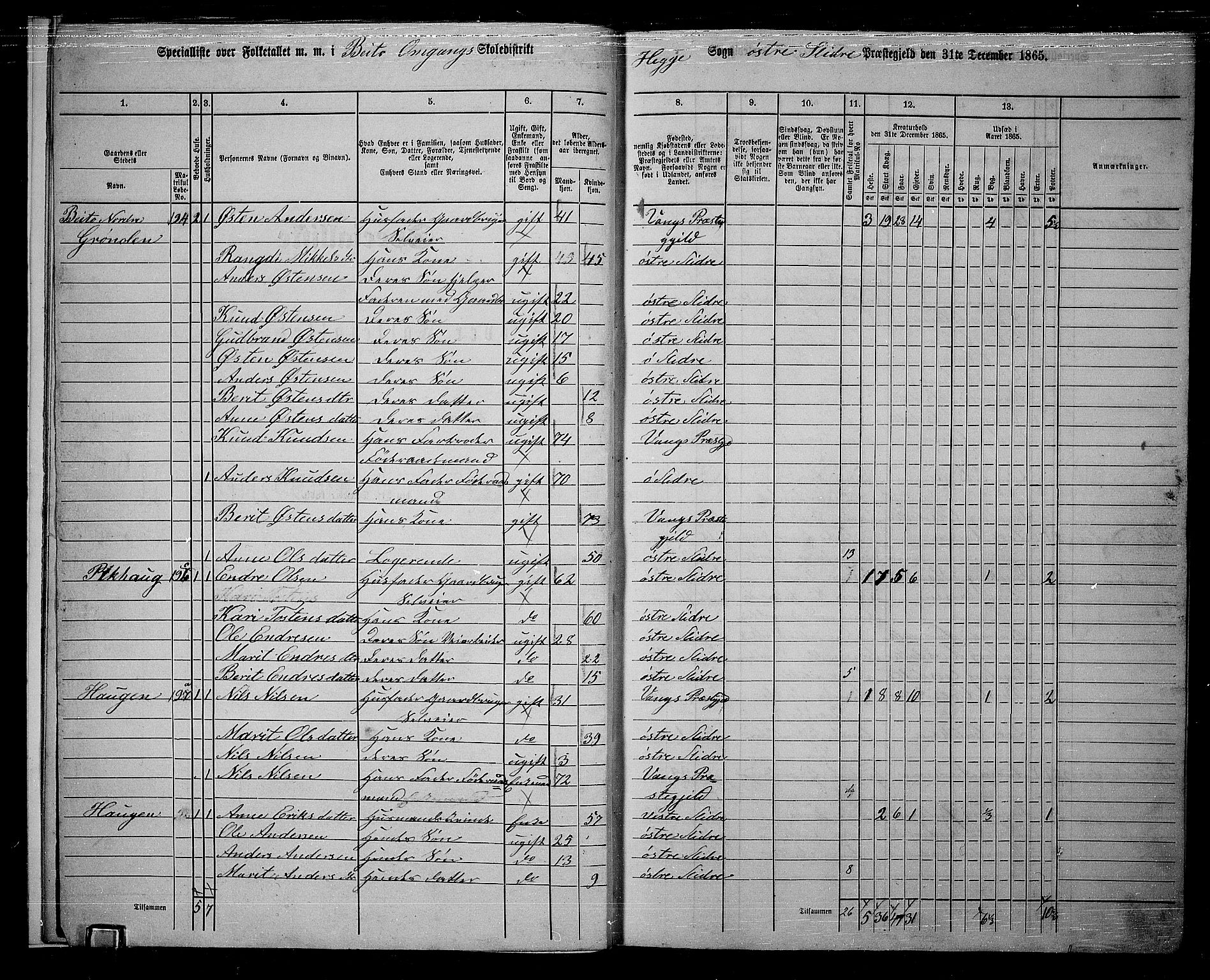 RA, 1865 census for Øystre Slidre, 1865, p. 12