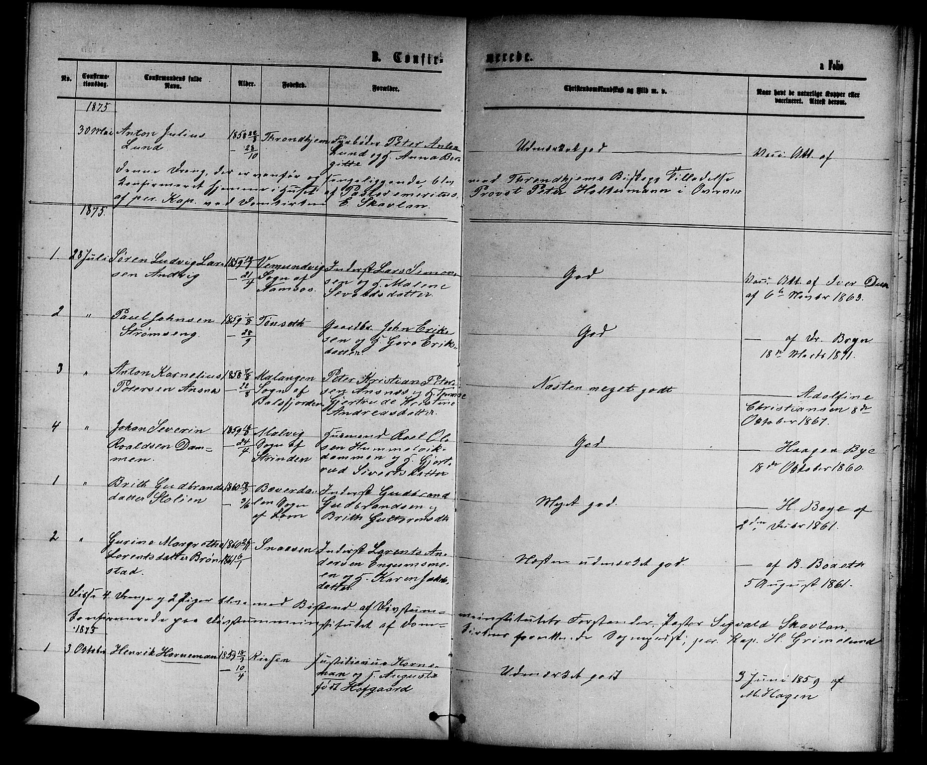 Ministerialprotokoller, klokkerbøker og fødselsregistre - Sør-Trøndelag, AV/SAT-A-1456/601/L0087: Parish register (copy) no. 601C05, 1864-1881, p. 209i