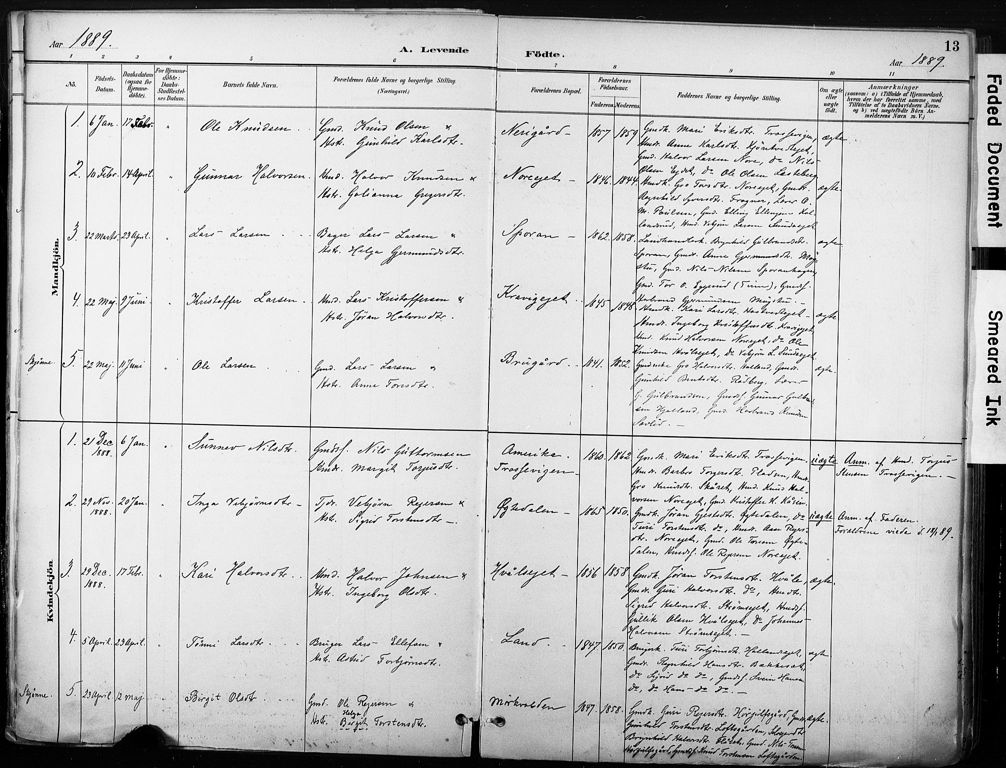 Nore kirkebøker, SAKO/A-238/F/Fb/L0002: Parish register (official) no. II 2, 1886-1906, p. 13