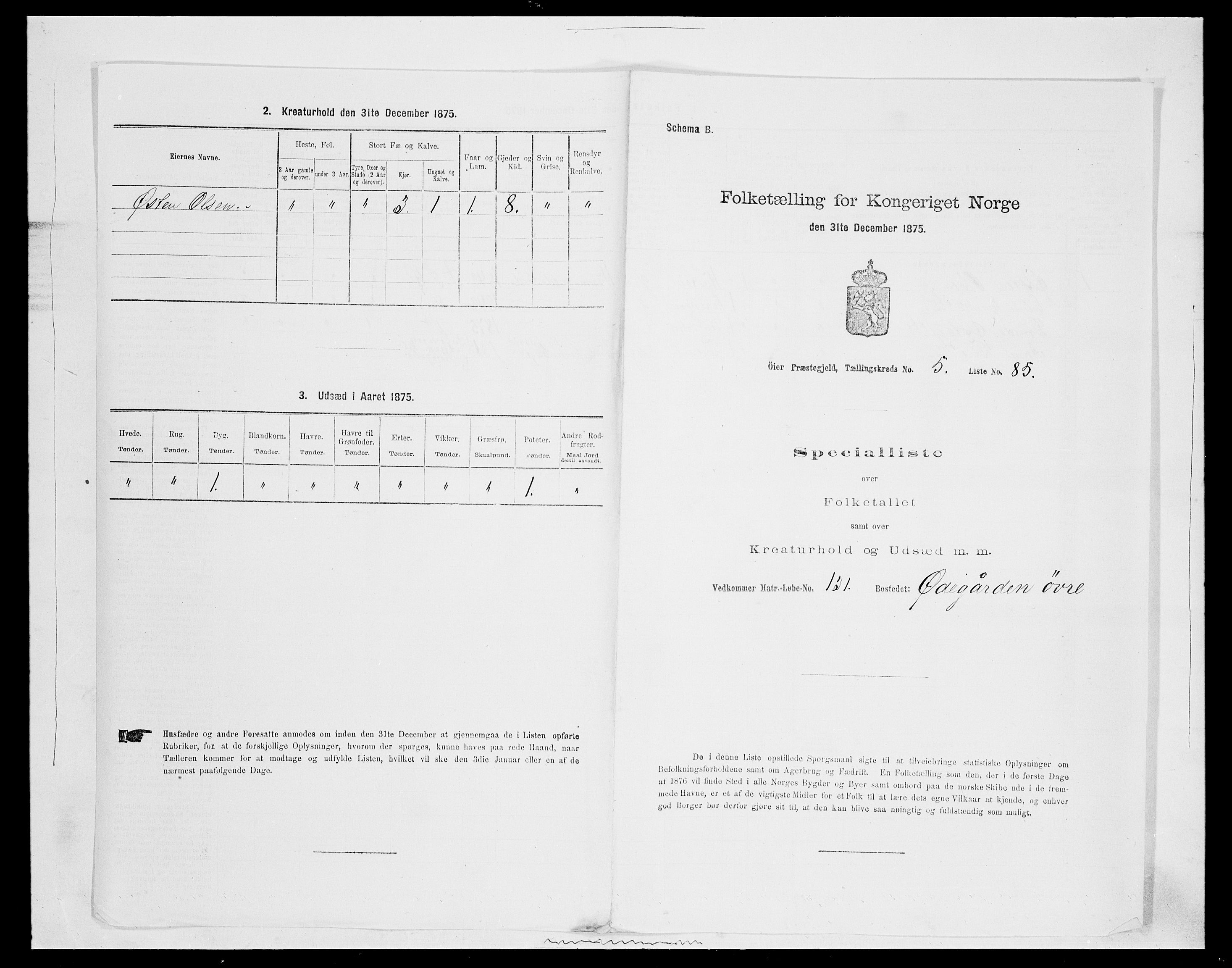 SAH, 1875 census for 0521P Øyer, 1875, p. 1124