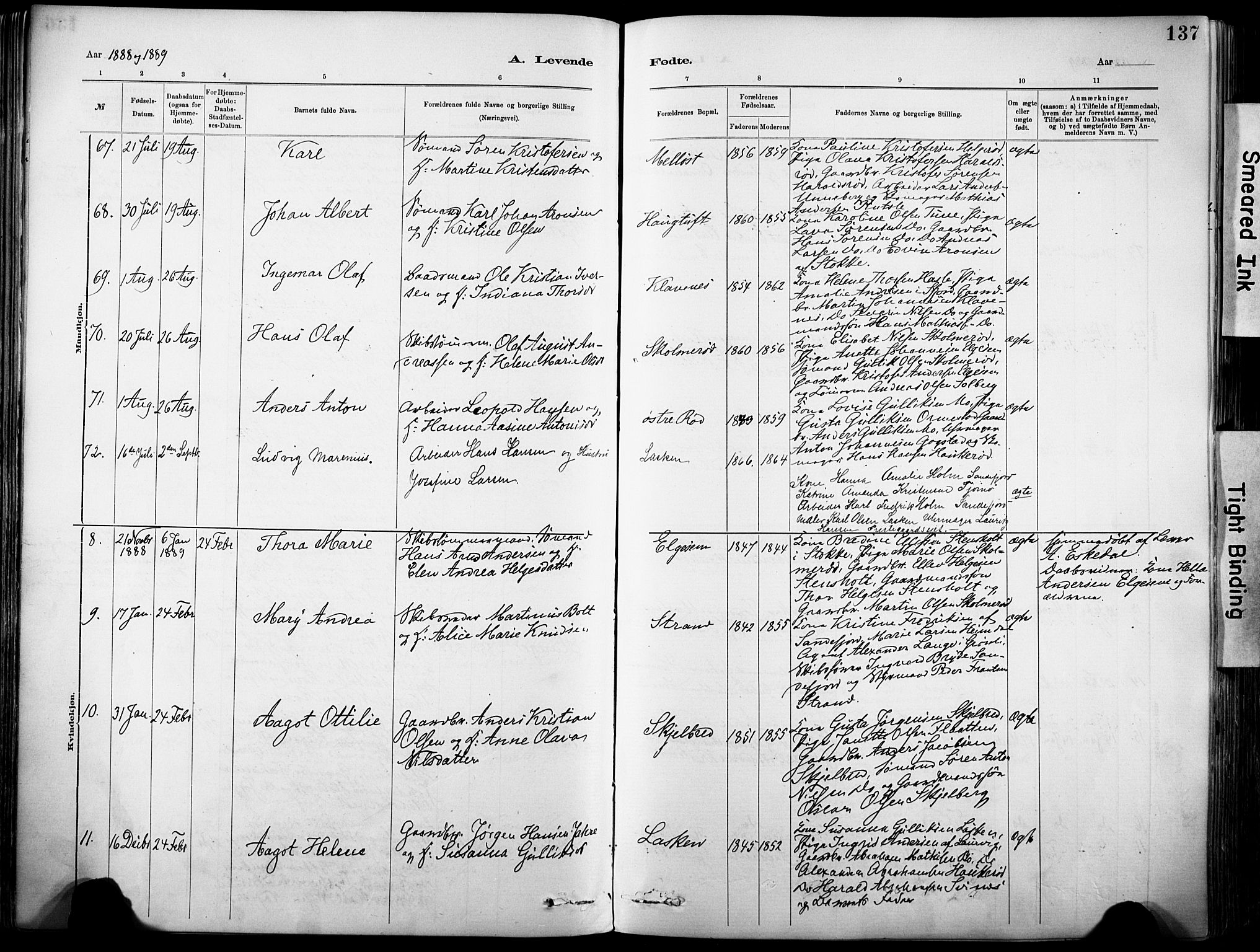 Sandar kirkebøker, SAKO/A-243/F/Fa/L0012: Parish register (official) no. 12, 1883-1895, p. 137