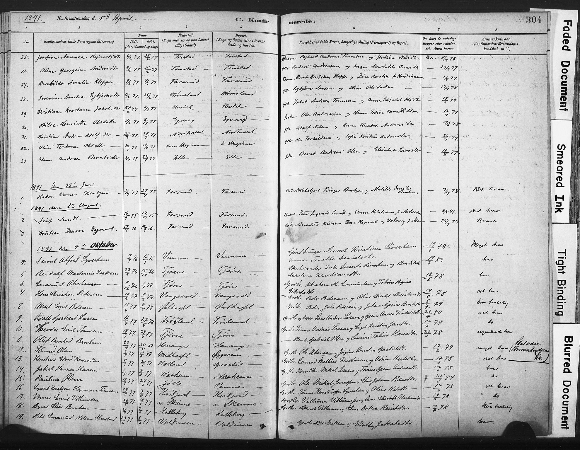 Lista sokneprestkontor, AV/SAK-1111-0027/F/Fa/L0012: Parish register (official) no. A 12, 1879-1903, p. 304