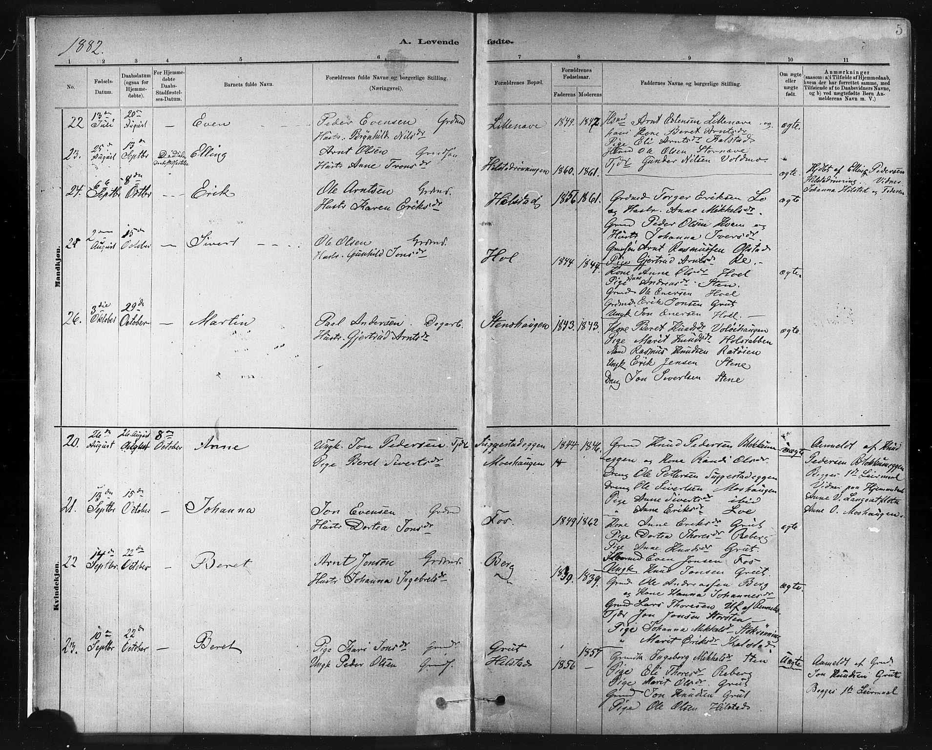 Ministerialprotokoller, klokkerbøker og fødselsregistre - Sør-Trøndelag, AV/SAT-A-1456/672/L0857: Parish register (official) no. 672A09, 1882-1893, p. 5