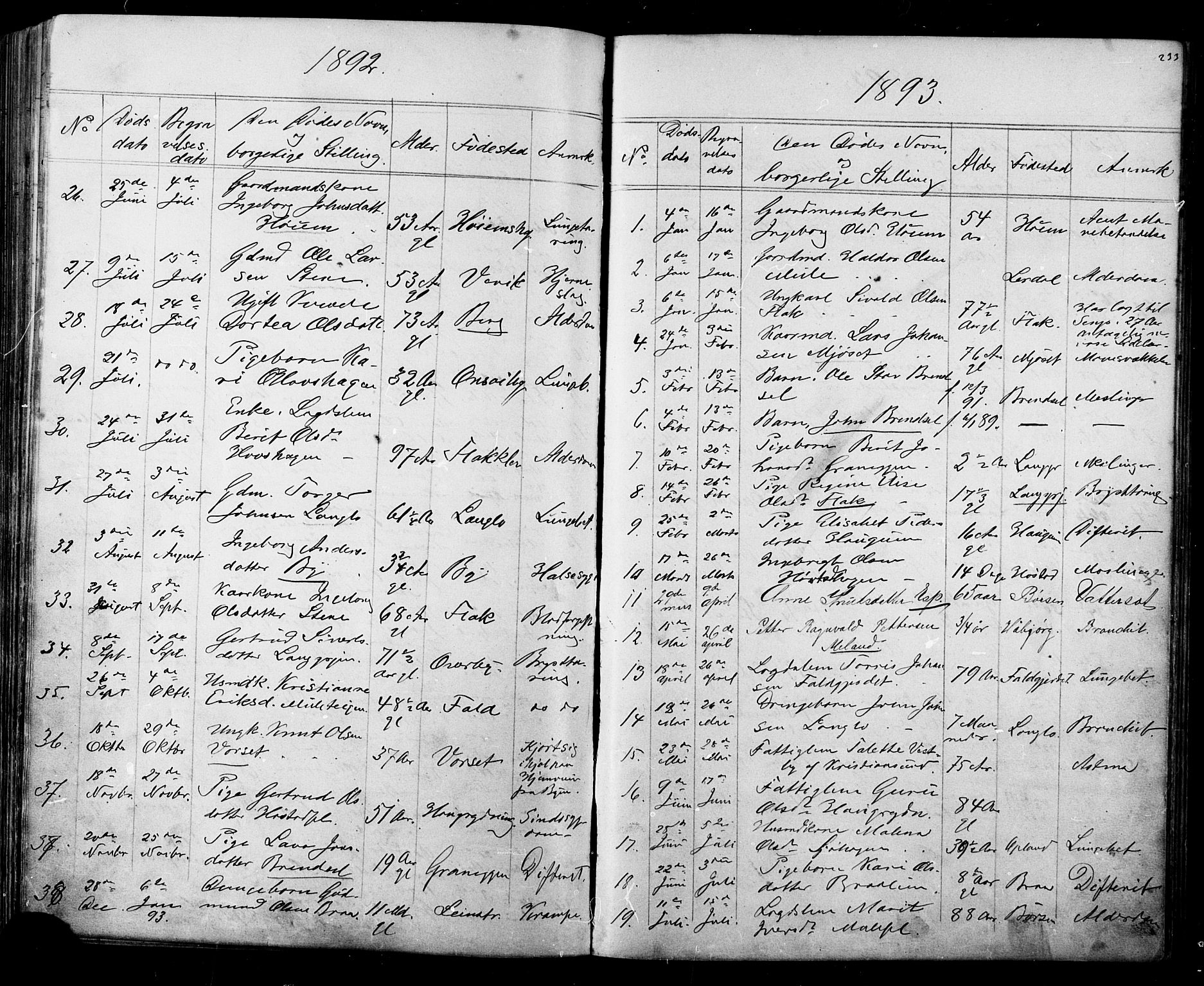 Ministerialprotokoller, klokkerbøker og fødselsregistre - Sør-Trøndelag, SAT/A-1456/612/L0387: Parish register (copy) no. 612C03, 1874-1908, p. 233
