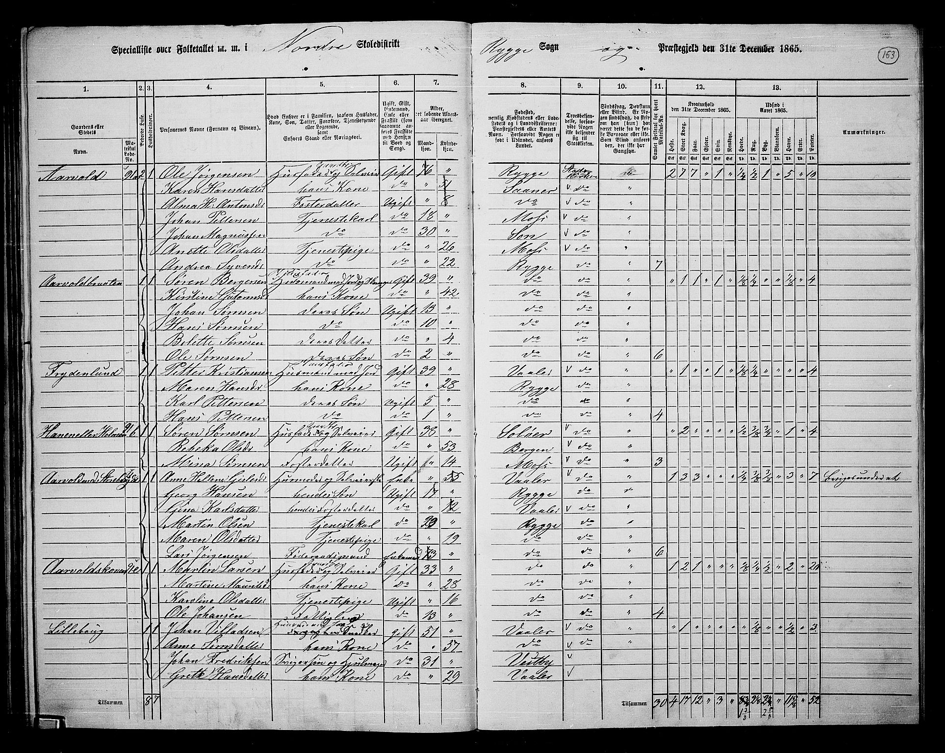 RA, 1865 census for Rygge, 1865, p. 94