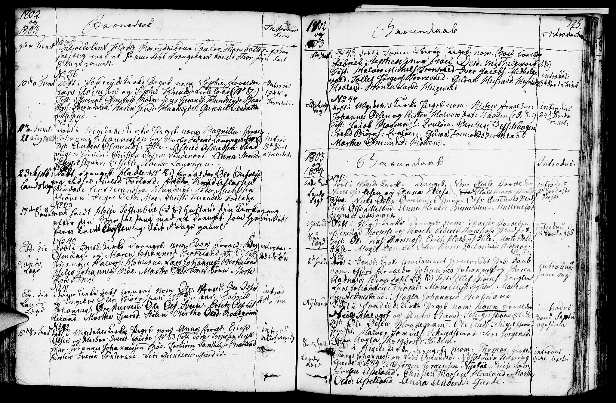Vikedal sokneprestkontor, AV/SAST-A-101840/01/IV: Parish register (official) no. A 2, 1779-1817, p. 145
