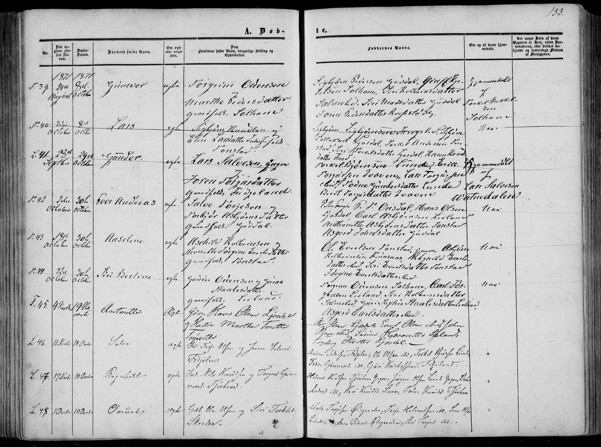 Sirdal sokneprestkontor, SAK/1111-0036/F/Fa/Fab/L0002: Parish register (official) no. A 2, 1855-1874, p. 133