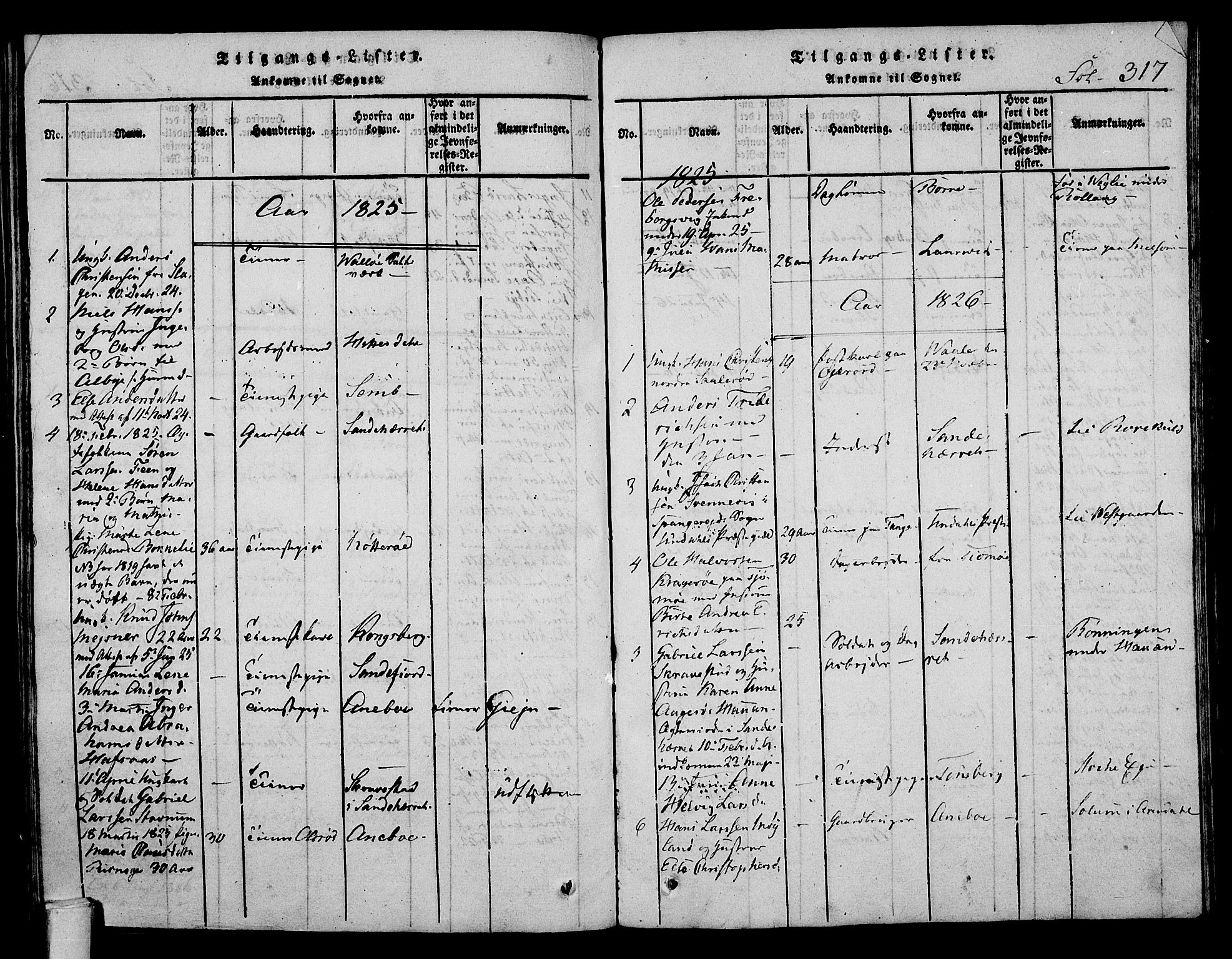 Stokke kirkebøker, AV/SAKO-A-320/F/Fa/L0005: Parish register (official) no. I 5, 1815-1826, p. 317