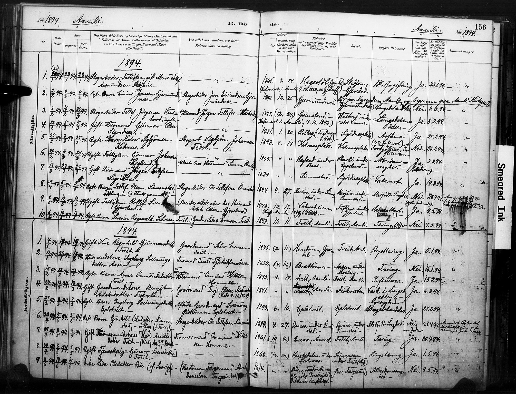 Åmli sokneprestkontor, SAK/1111-0050/F/Fa/Fac/L0010: Parish register (official) no. A 10 /1, 1885-1899, p. 156
