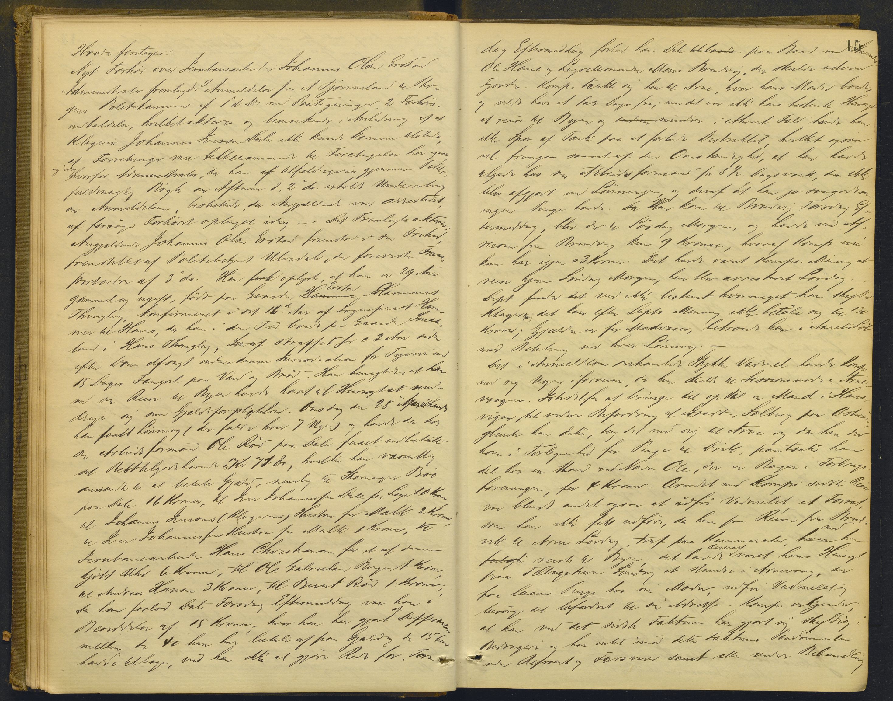 Nordhordland sorenskrivar, AV/SAB-A-2901/1/F/Fd/Fdd/L0004: Ekstrarettsprotokollar, forhøyr, 1880-1884, p. 14b-15a