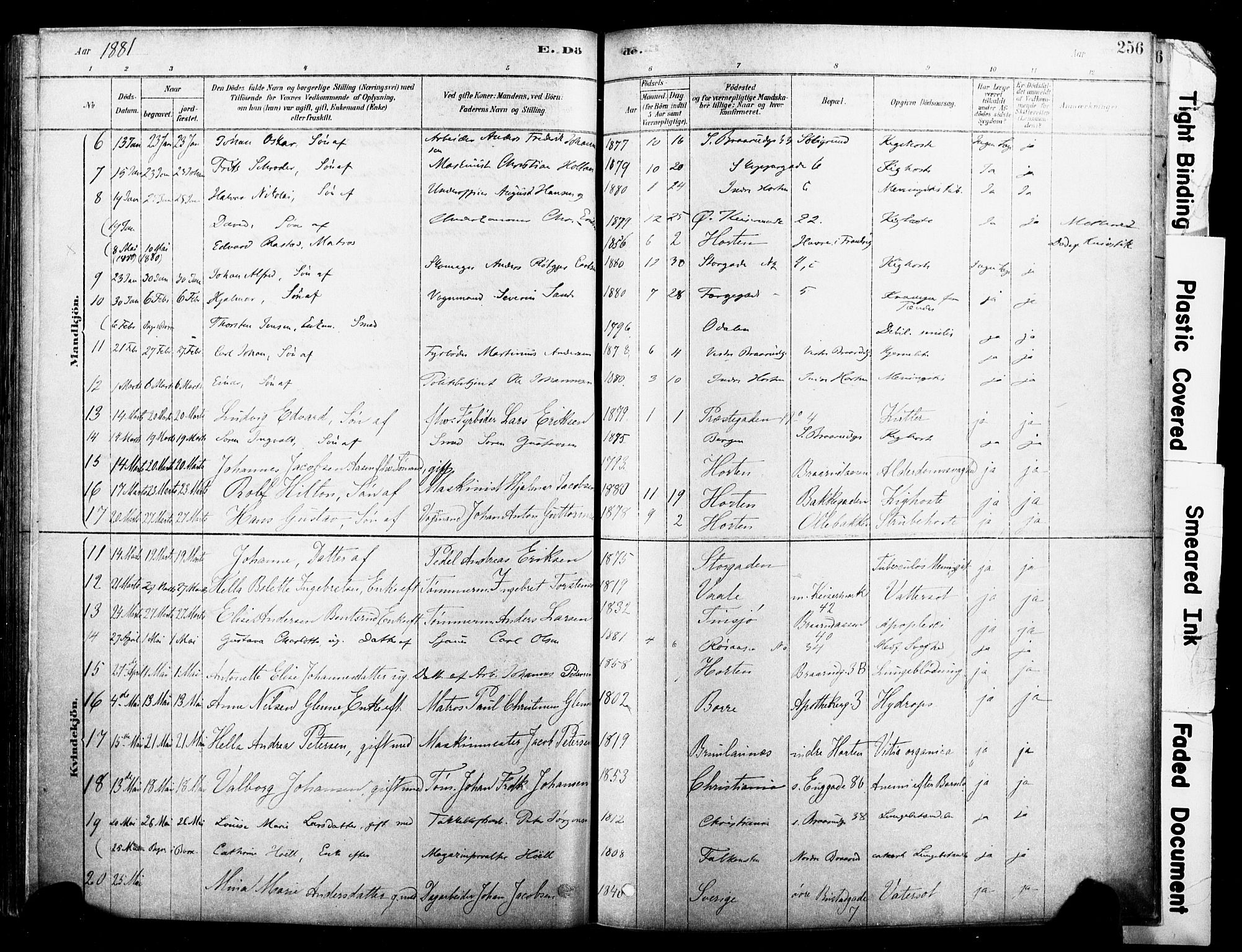 Horten kirkebøker, AV/SAKO-A-348/F/Fa/L0003: Parish register (official) no. 3, 1878-1887, p. 256