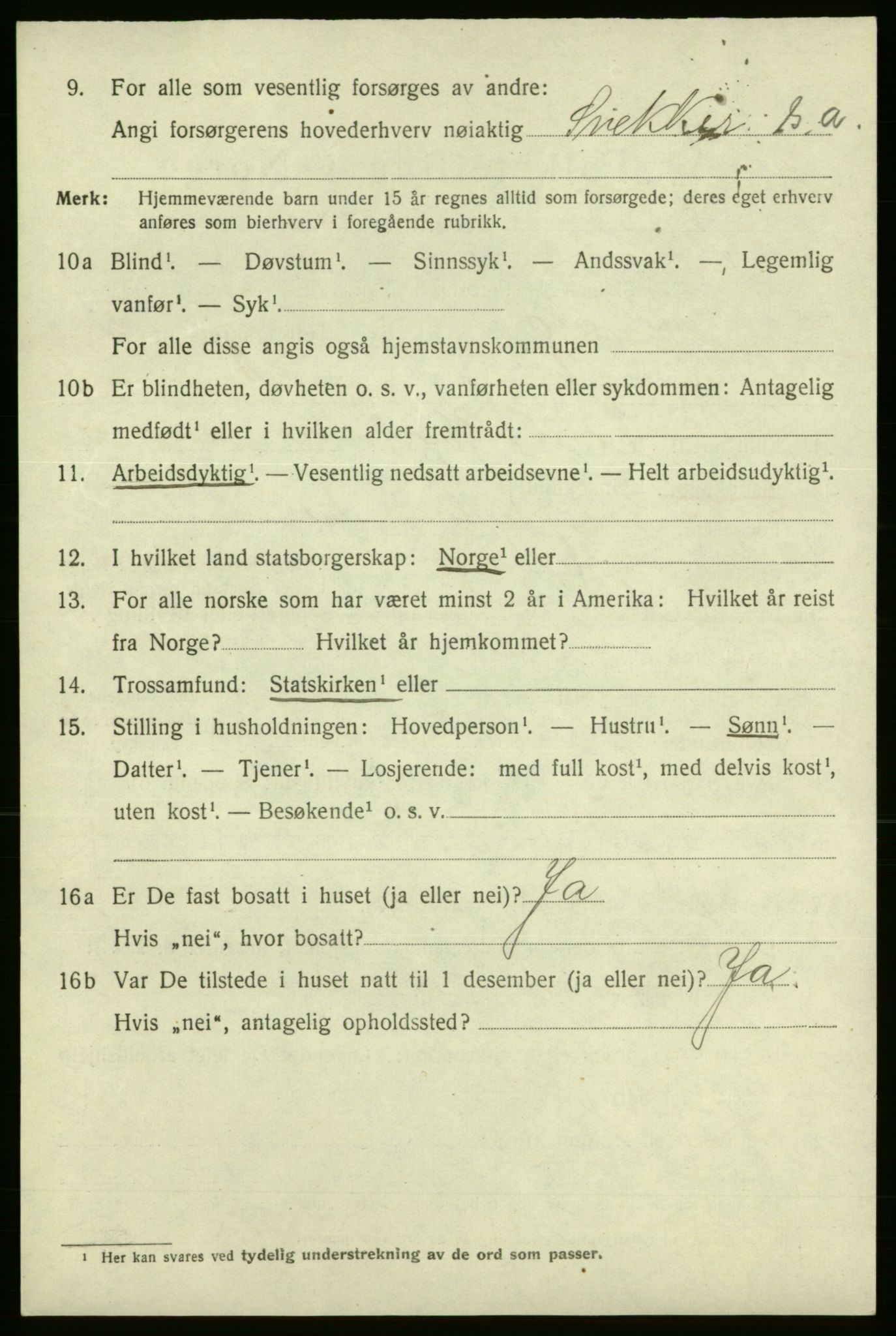 SAO, 1920 census for Fredrikshald, 1920, p. 12053