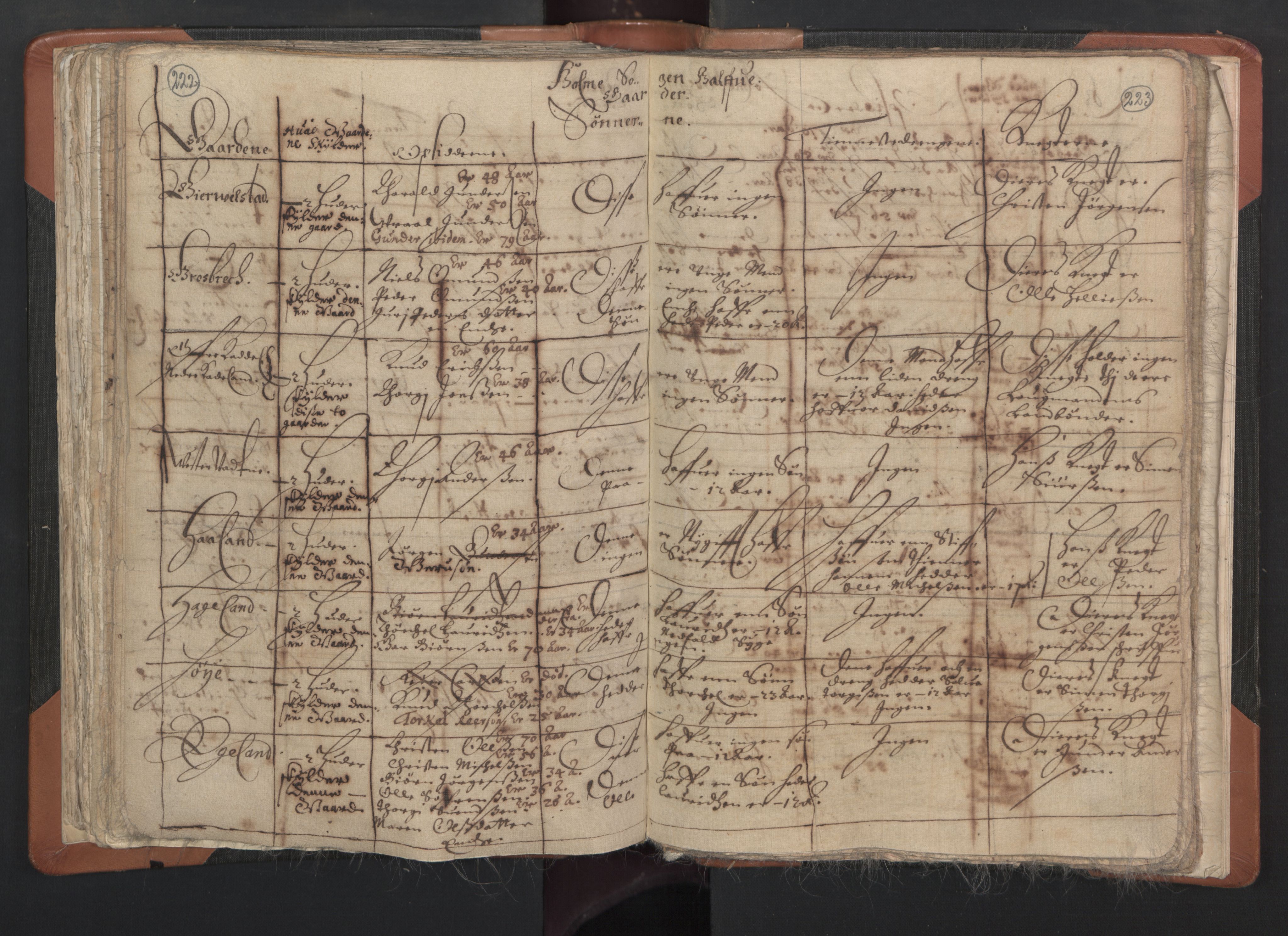 RA, Vicar's Census 1664-1666, no. 15: Mandal deanery, 1664-1666, p. 222-223