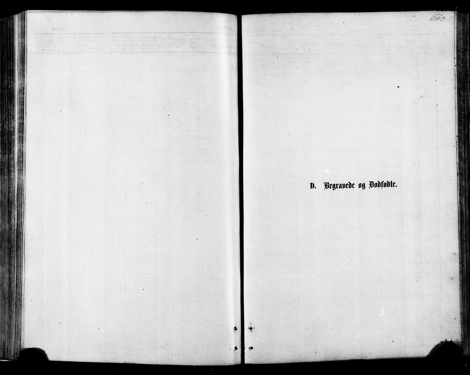 Ministerialprotokoller, klokkerbøker og fødselsregistre - Nordland, SAT/A-1459/895/L1370: Parish register (official) no. 895A05, 1873-1884, p. 163