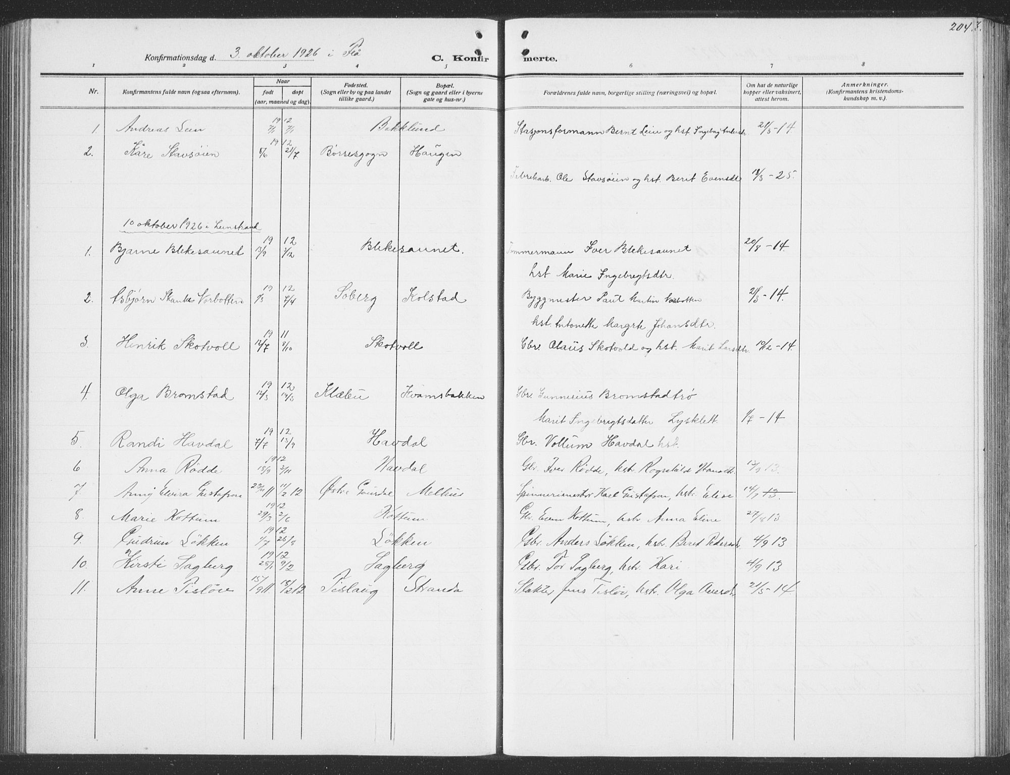 Ministerialprotokoller, klokkerbøker og fødselsregistre - Sør-Trøndelag, AV/SAT-A-1456/691/L1095: Parish register (copy) no. 691C06, 1912-1933, p. 204