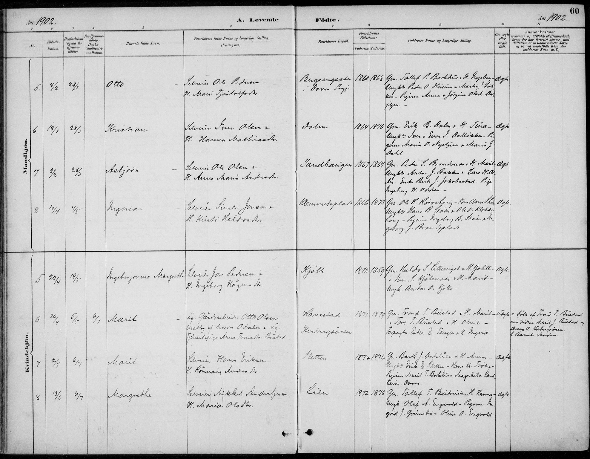 Alvdal prestekontor, AV/SAH-PREST-060/H/Ha/Haa/L0003: Parish register (official) no. 3, 1886-1912, p. 60