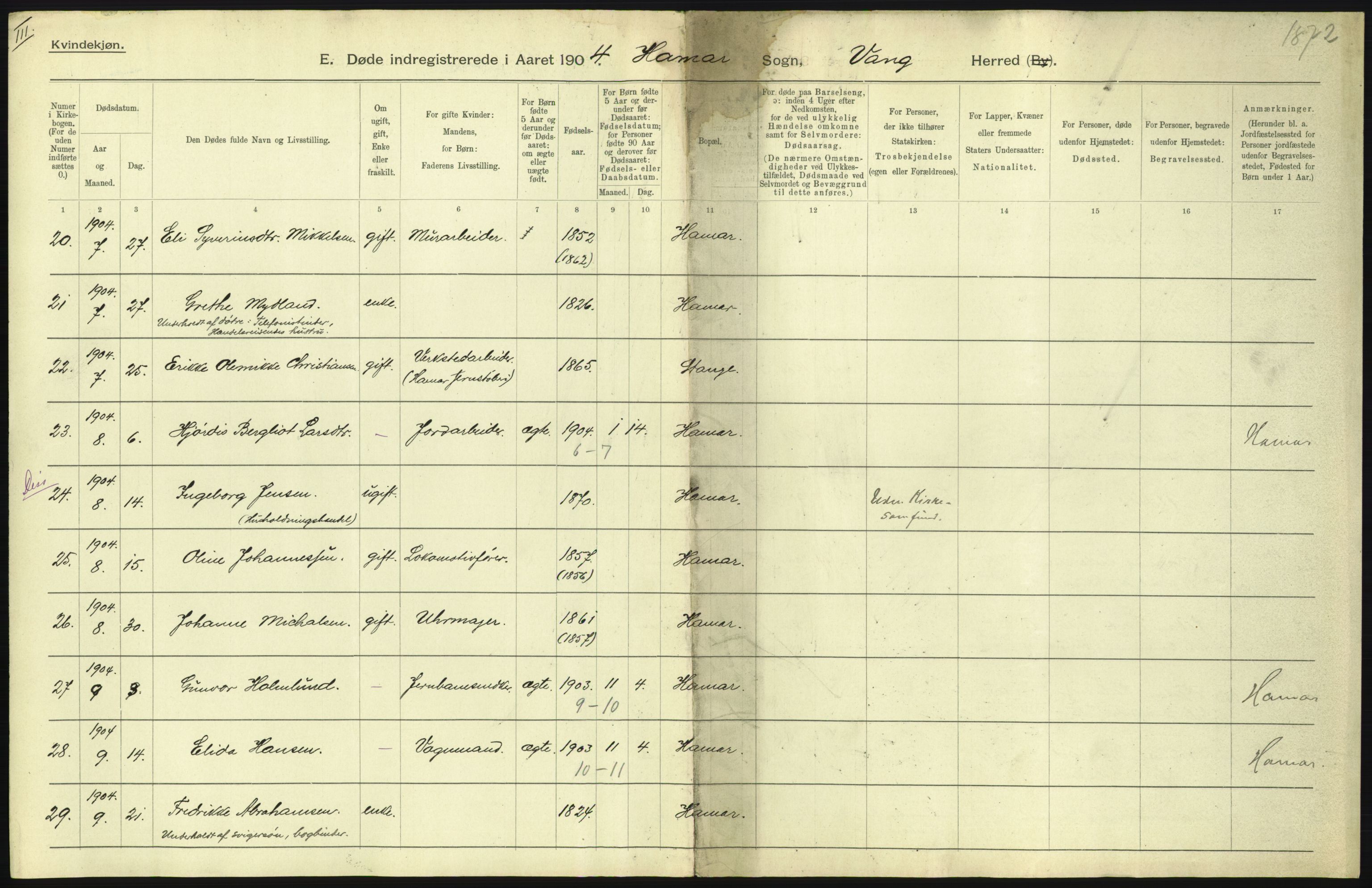 Statistisk sentralbyrå, Sosiodemografiske emner, Befolkning, AV/RA-S-2228/D/Df/Dfa/Dfab/L0005: Hedemarkens amt: Fødte, gifte, døde, 1904, p. 41