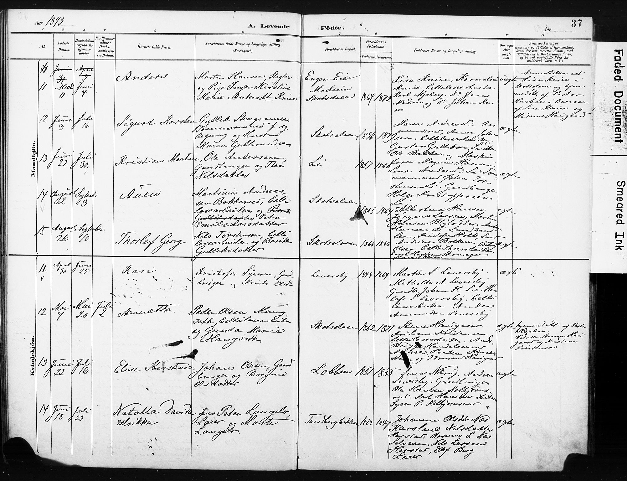 Eiker kirkebøker, AV/SAKO-A-4/F/Fc/L0002: Parish register (official) no. III 2, 1889-1897, p. 37