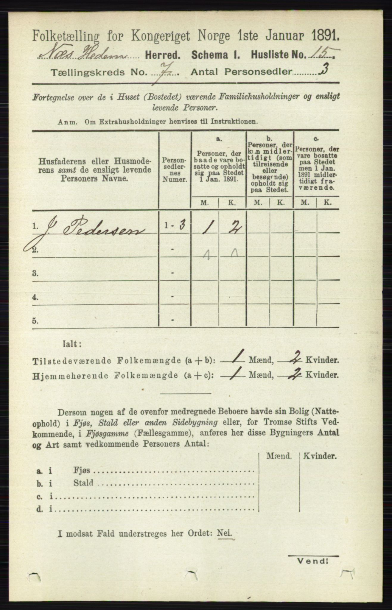 RA, 1891 census for 0411 Nes, 1891, p. 3843