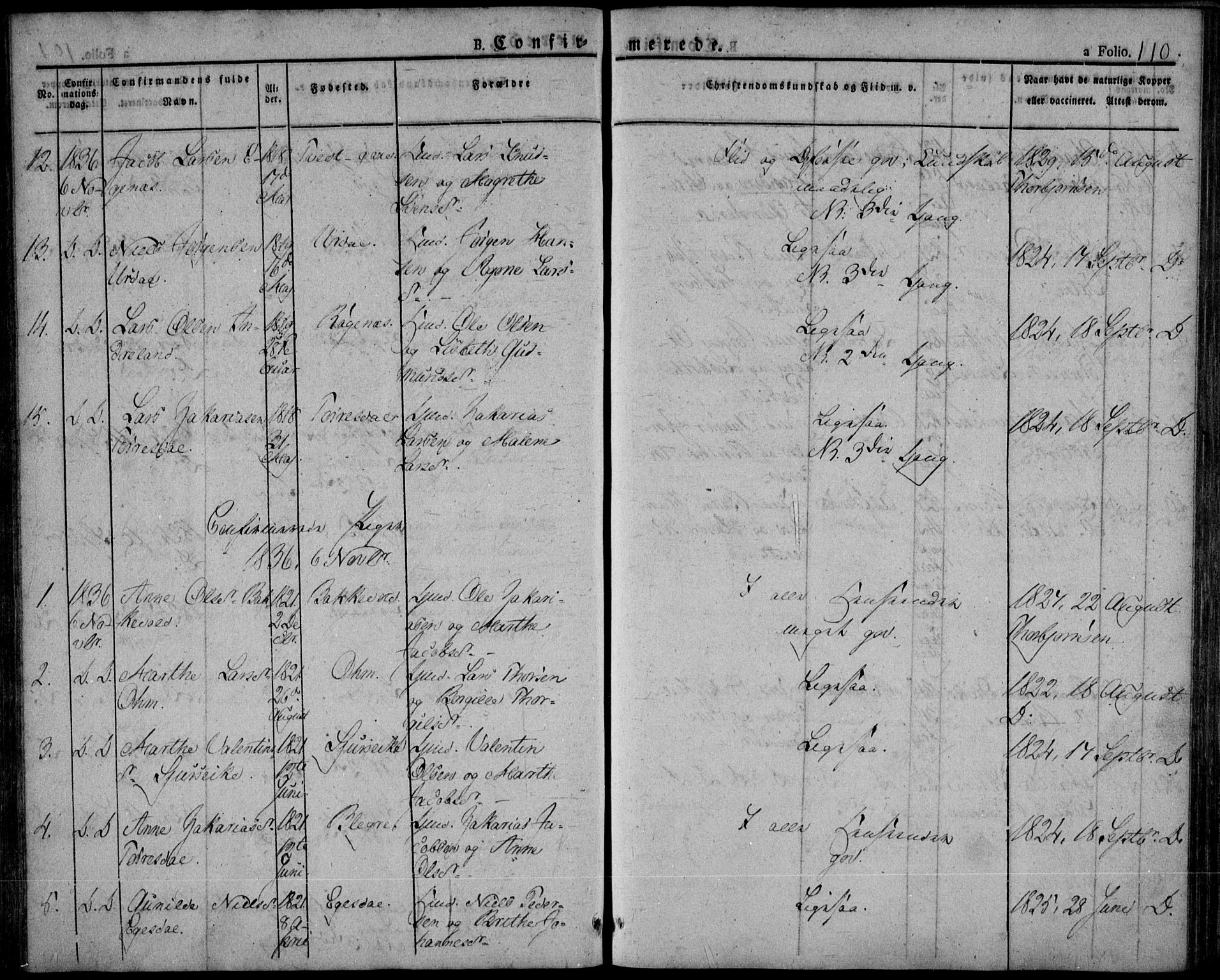 Skjold sokneprestkontor, AV/SAST-A-101847/H/Ha/Haa/L0005: Parish register (official) no. A 5, 1830-1856, p. 110