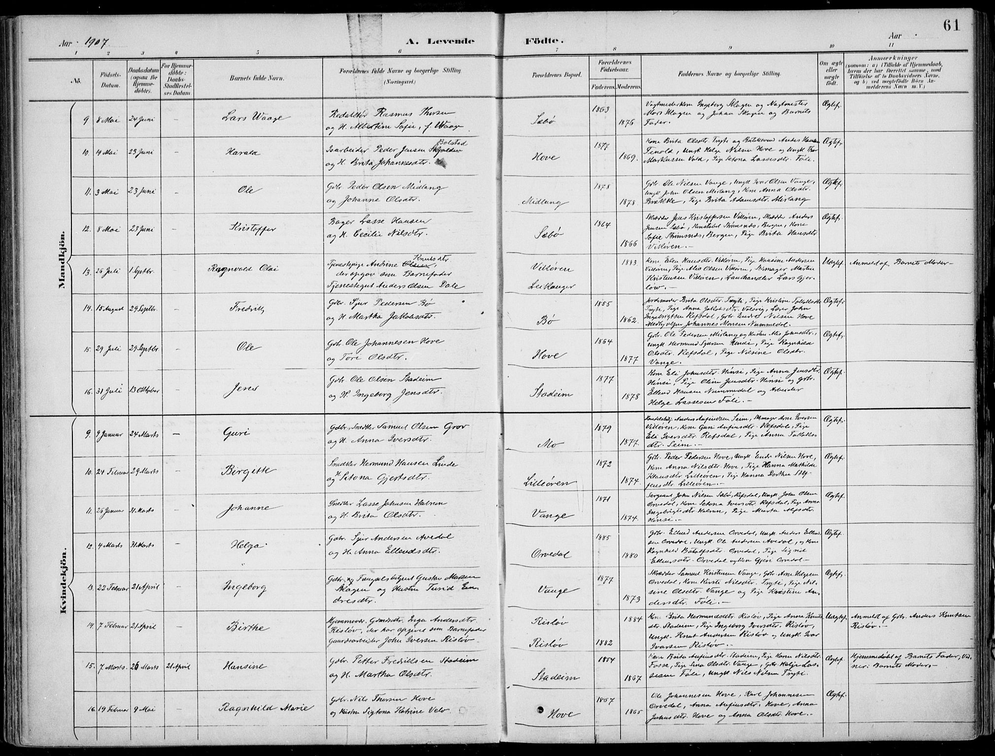 Vik sokneprestembete, AV/SAB-A-81501/H/Haa/Haab/L0002: Parish register (official) no. B  2, 1891-1907, p. 61