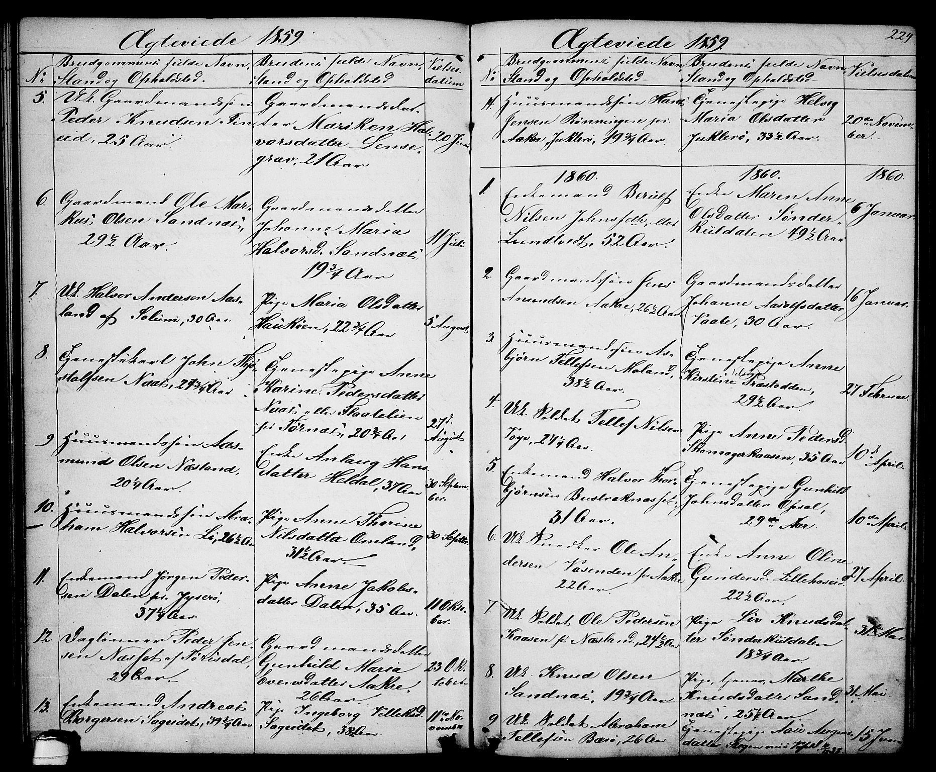 Drangedal kirkebøker, SAKO/A-258/G/Ga/L0002: Parish register (copy) no. I 2, 1856-1887, p. 224