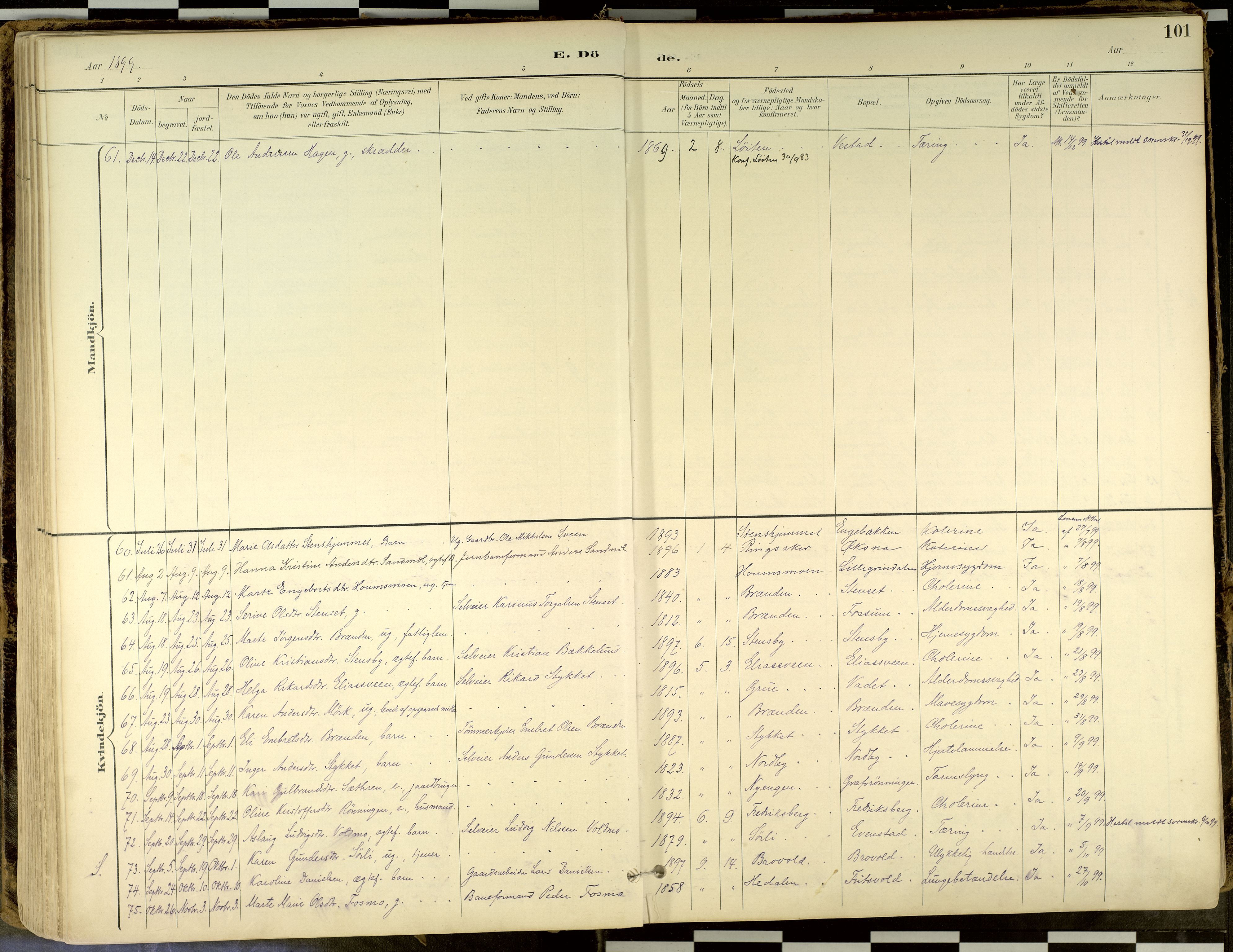 Elverum prestekontor, SAH/PREST-044/H/Ha/Haa/L0018: Parish register (official) no. 18, 1894-1914, p. 101