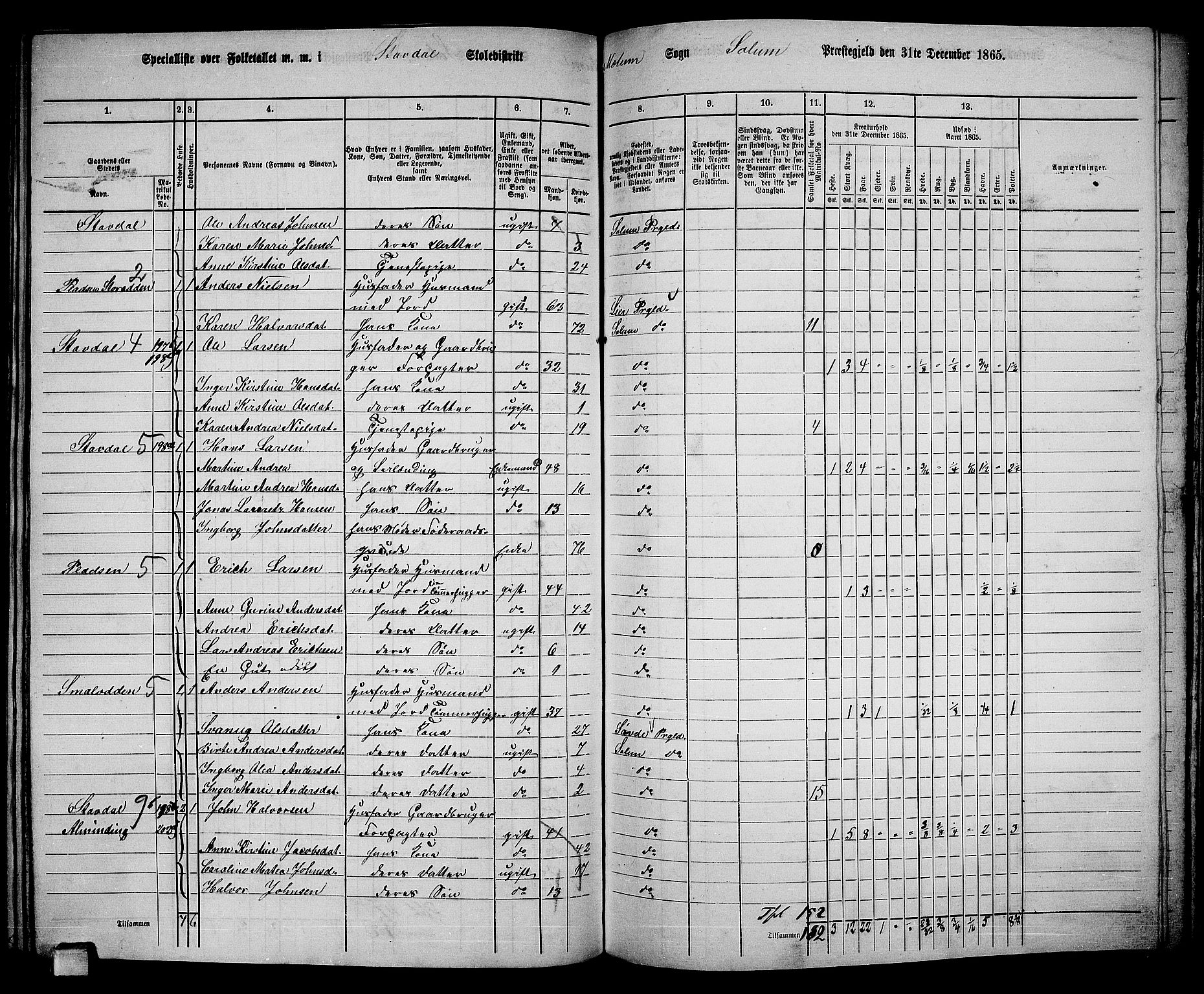 RA, 1865 census for Solum, 1865, p. 165