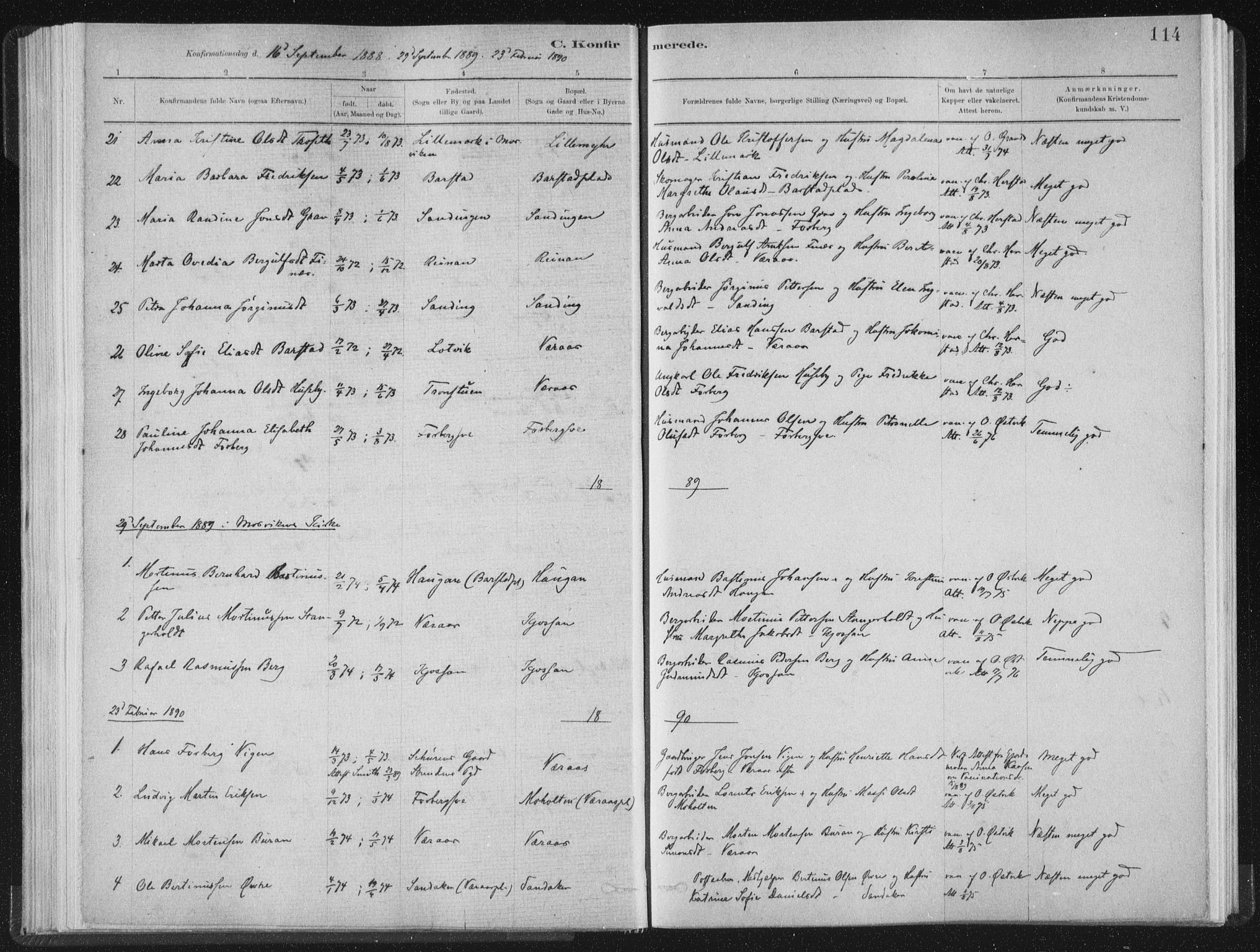 Ministerialprotokoller, klokkerbøker og fødselsregistre - Nord-Trøndelag, SAT/A-1458/722/L0220: Parish register (official) no. 722A07, 1881-1908, p. 114