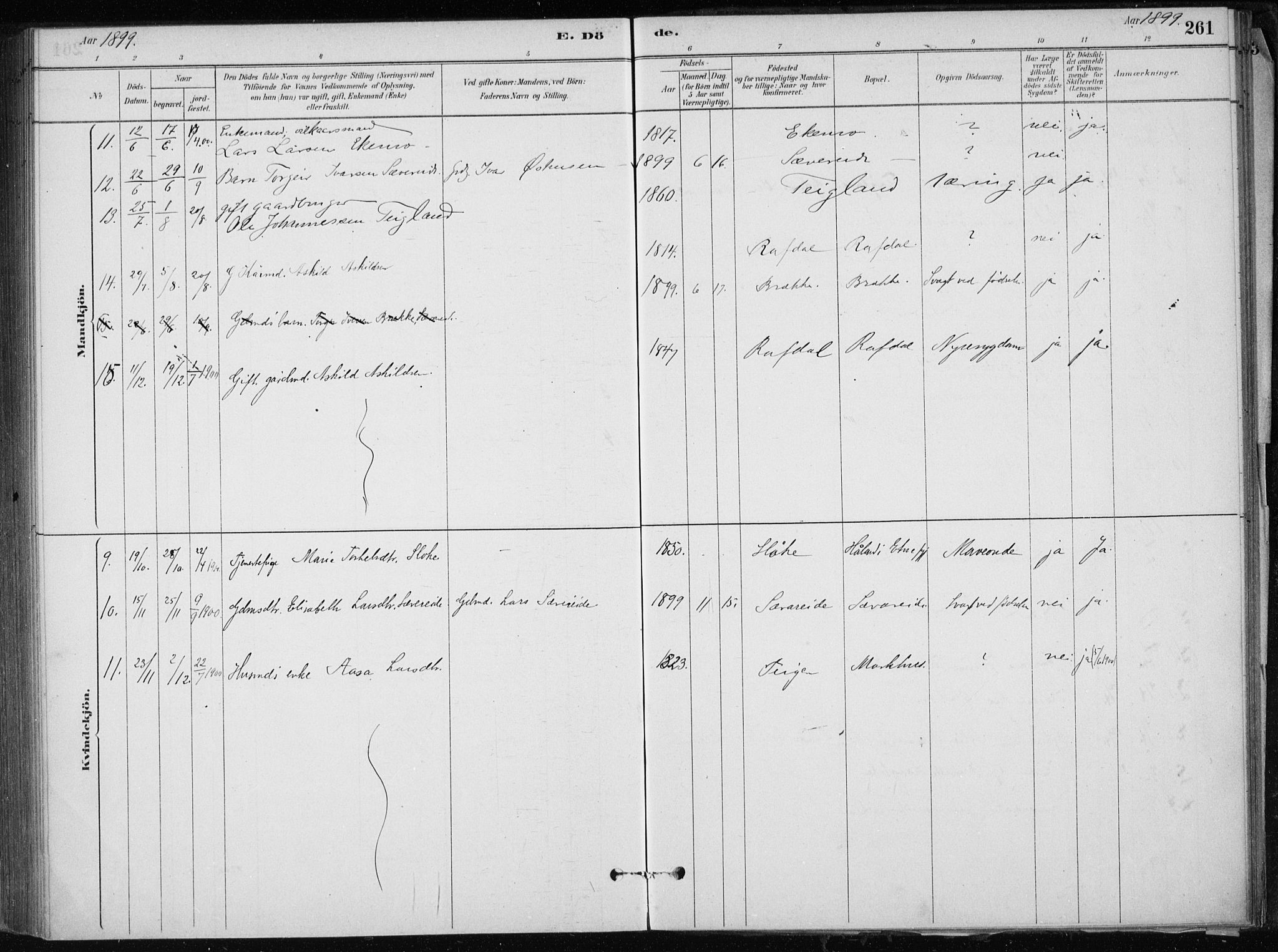 Skånevik sokneprestembete, AV/SAB-A-77801/H/Haa: Parish register (official) no. E  1, 1879-1901, p. 261