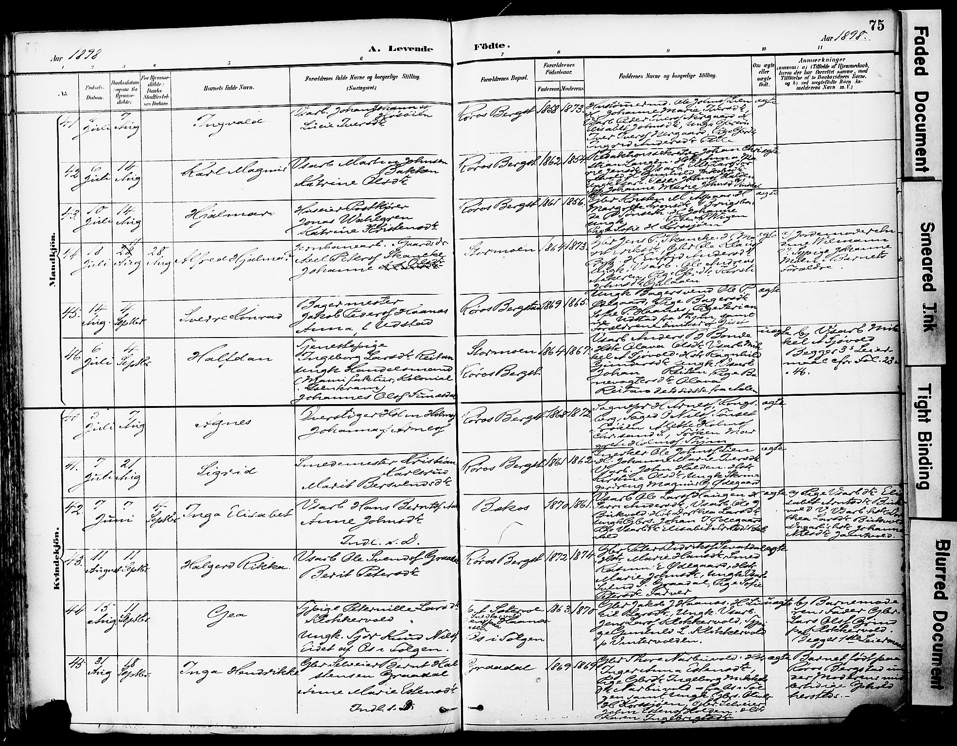 Ministerialprotokoller, klokkerbøker og fødselsregistre - Sør-Trøndelag, AV/SAT-A-1456/681/L0935: Parish register (official) no. 681A13, 1890-1898, p. 75