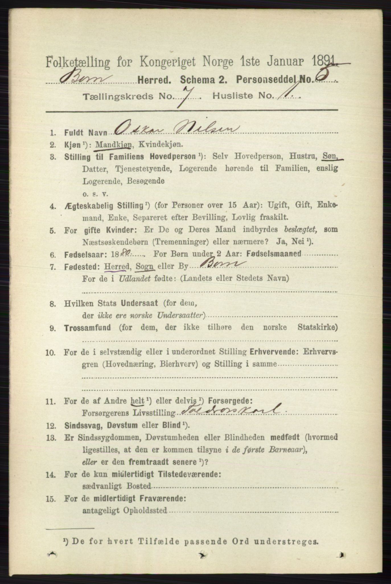 RA, 1891 census for 0717 Borre, 1891, p. 3226